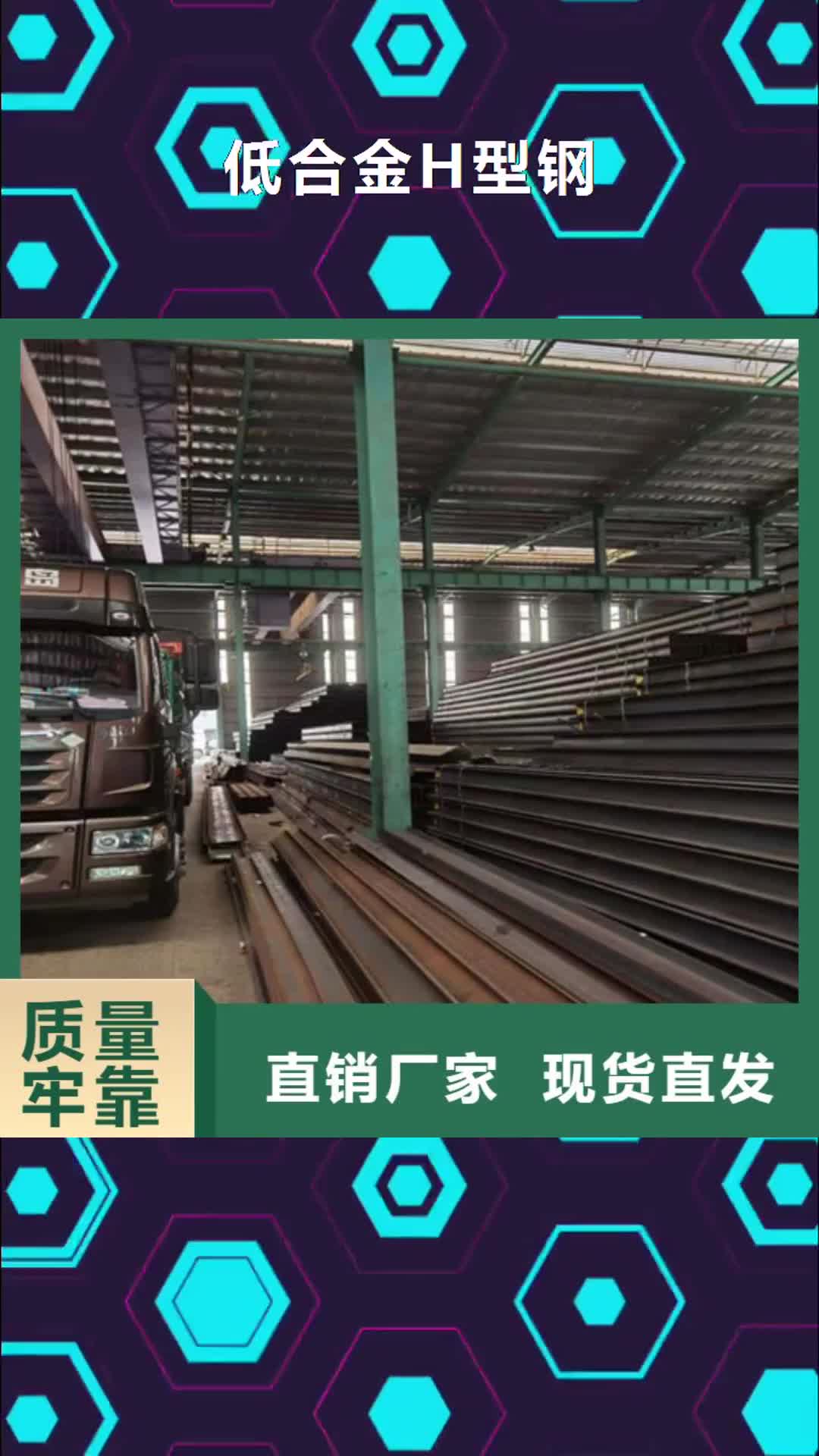 武威 低合金H型钢-【H型钢】经销商