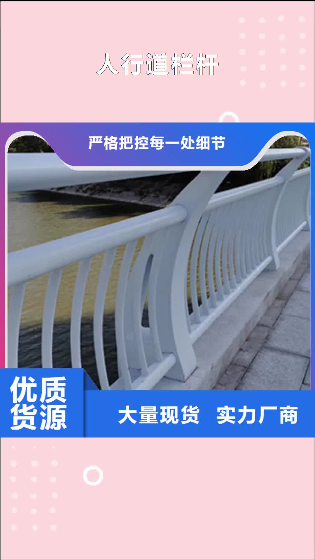 【阜阳 人行道栏杆-道路防撞护栏专注质量】