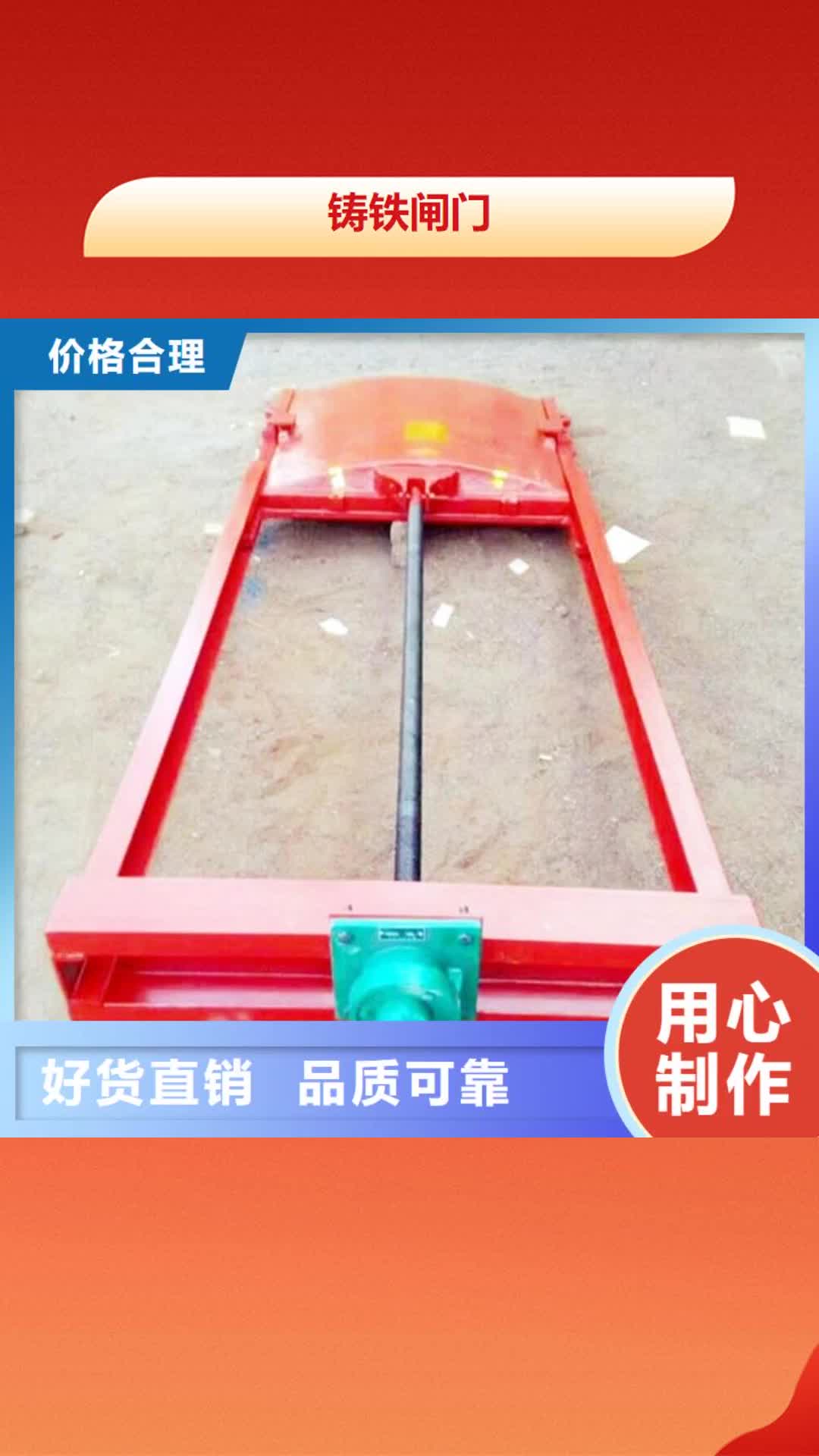 【广东 铸铁闸门_钢制拍门实力商家】