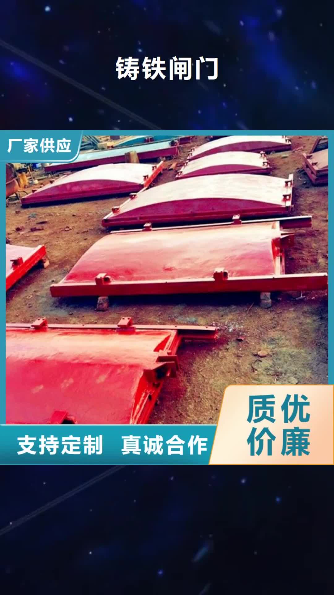 珠海【铸铁闸门】,拦污栅随心所欲定制