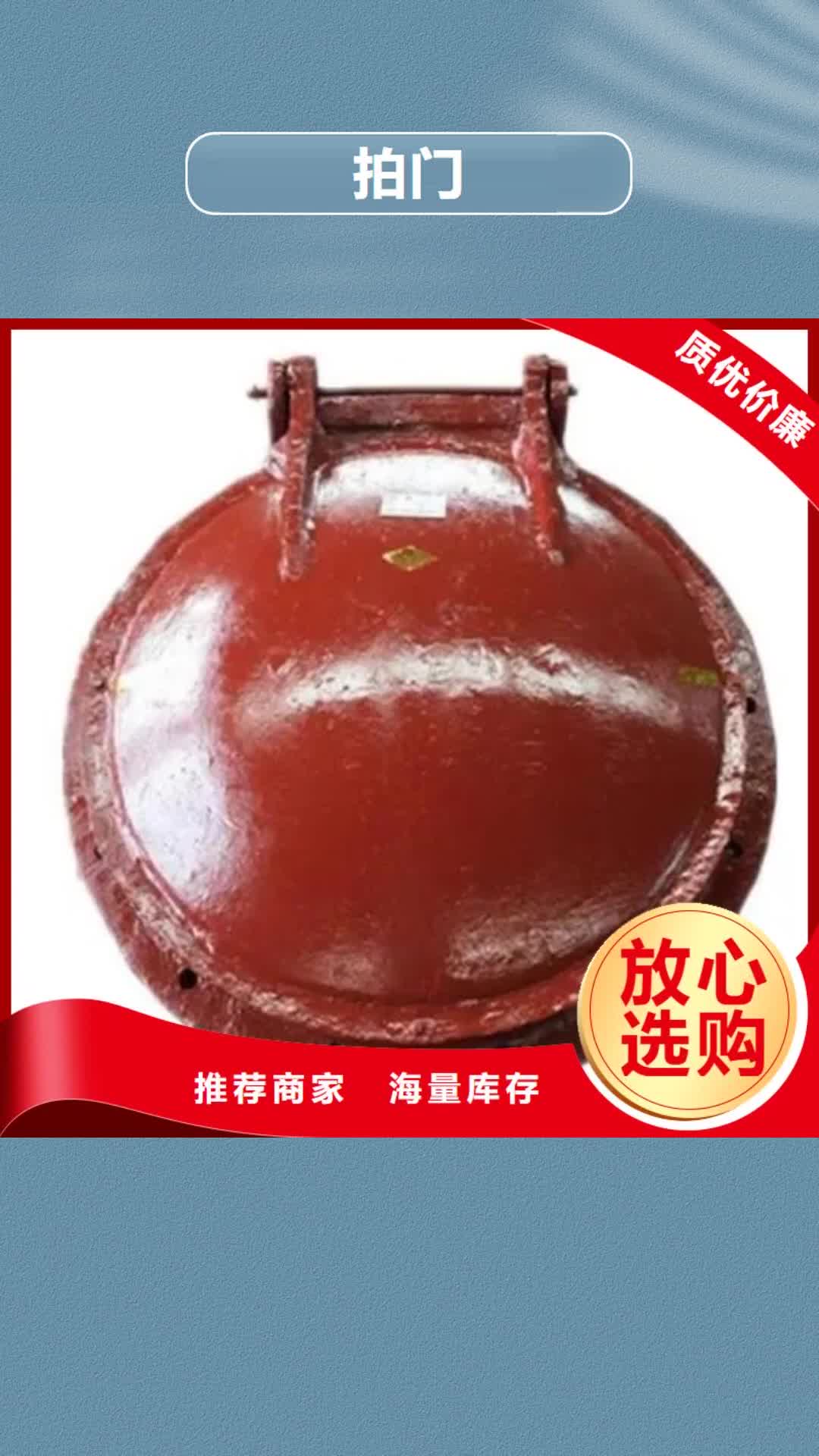葫芦岛【拍门】_铸铁闸门实力商家