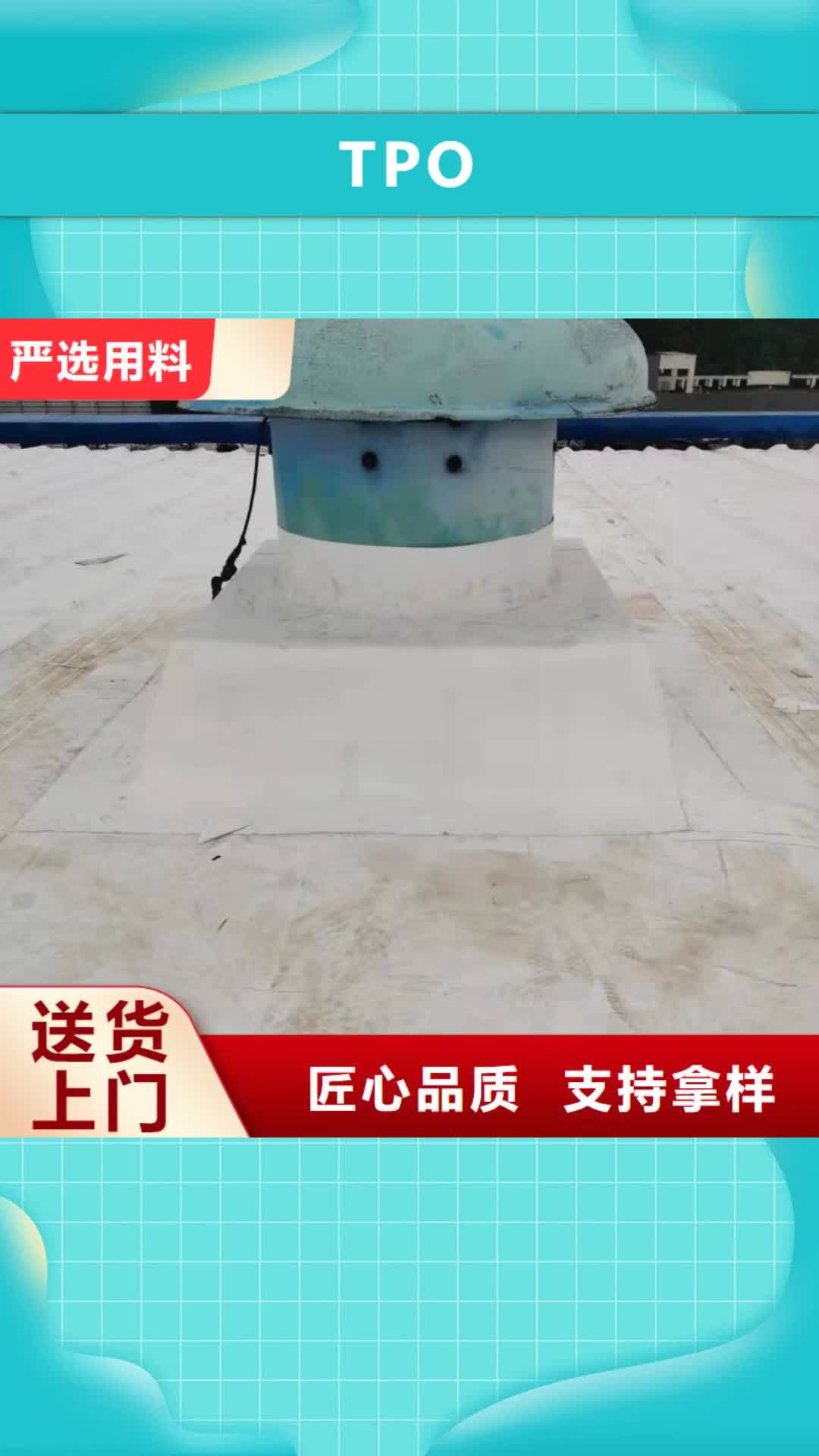 【甘孜 TPOPVC防水卷材好货直销】