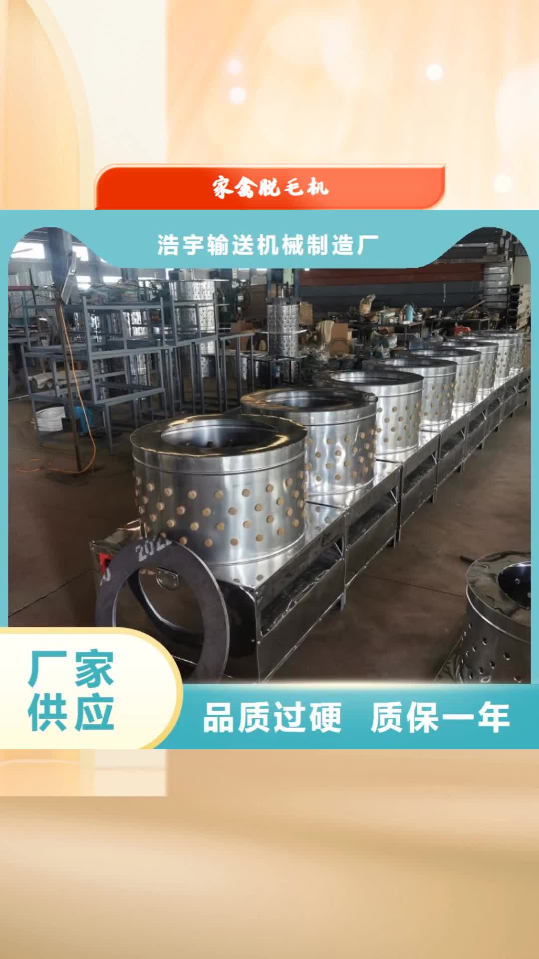 【营口 家禽脱毛机 输送机厂家质优价保】