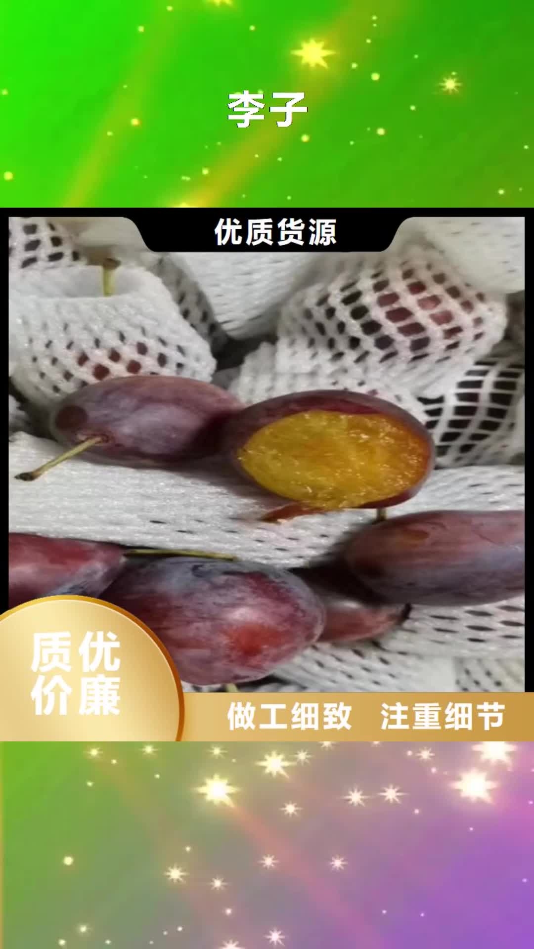 宁波 李子,【蓝莓苗】品质做服务