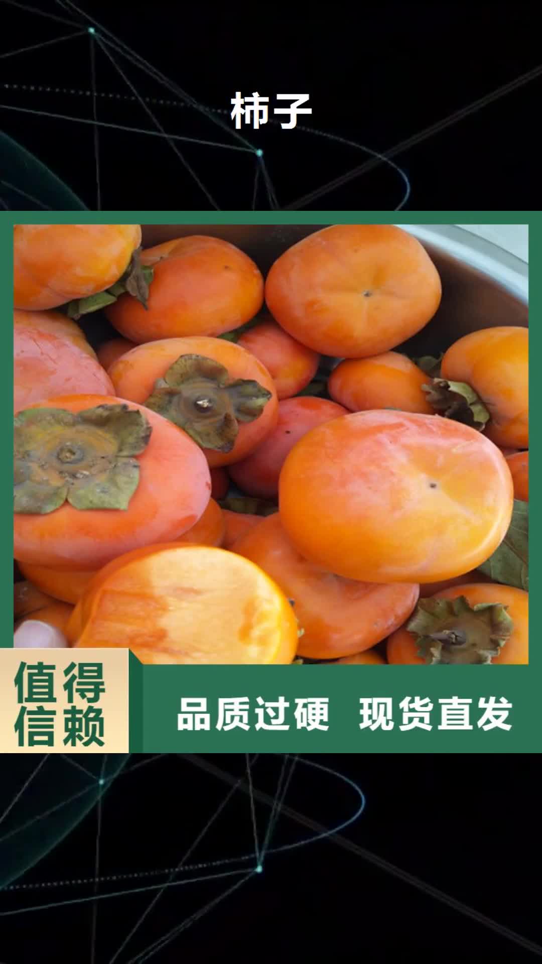 晋中【柿子】,苹果苗海量库存