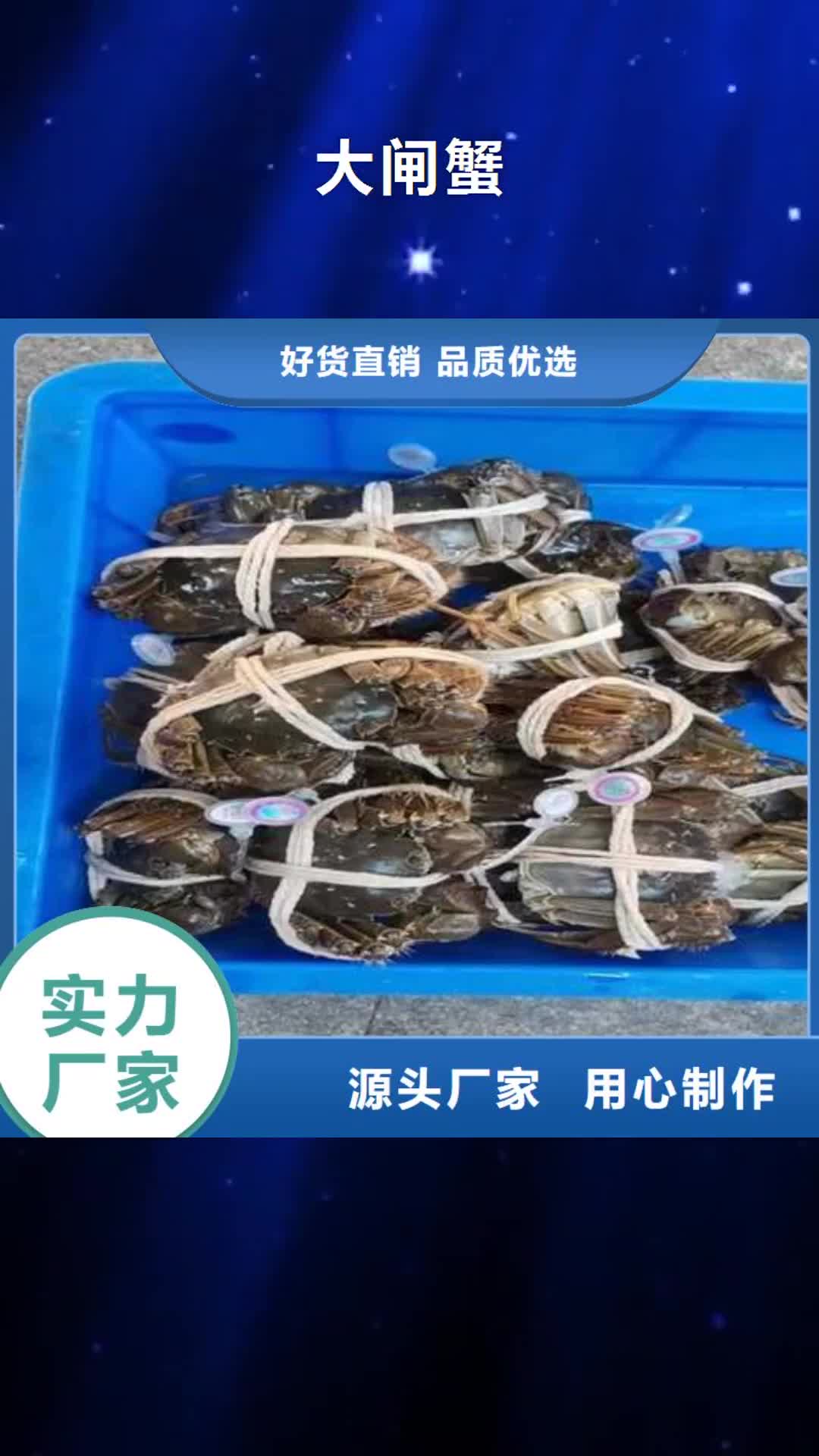 【铜陵 大闸蟹_阳澄湖大闸蟹厂家售后完善】