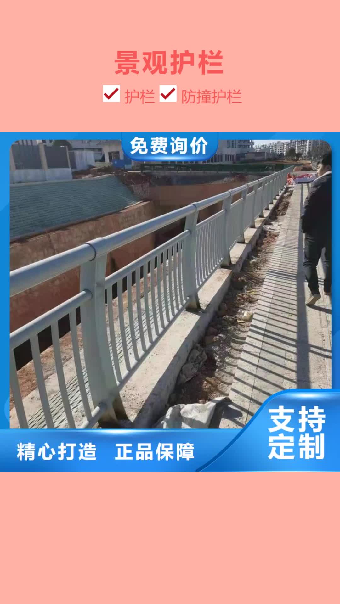汕头 景观护栏_【交通防撞围栏】好货有保障
