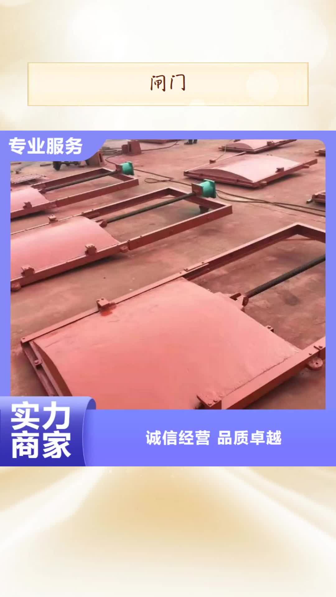 长治闸门,【钢制闸门】一站式采购商家