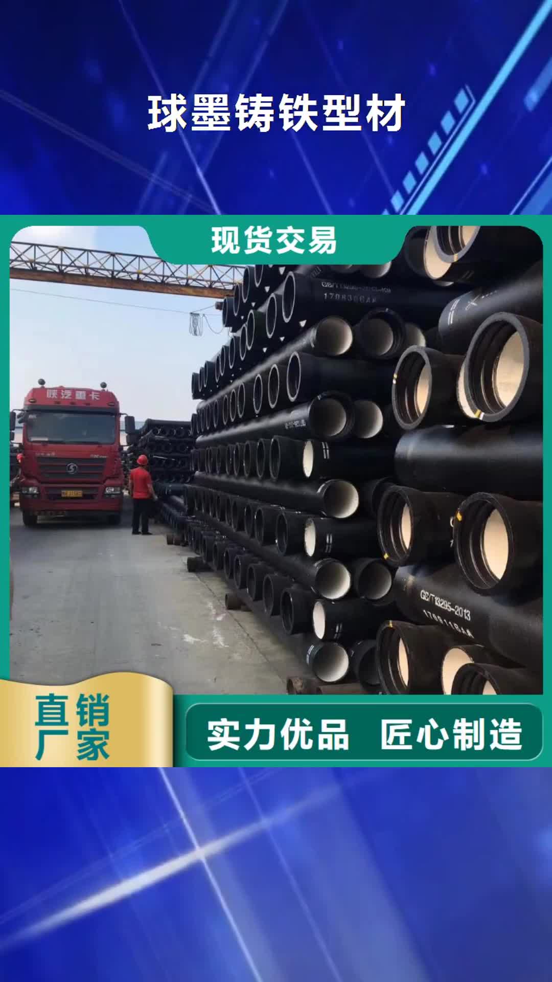 来宾【球墨铸铁型材】-排水球墨铸铁管支持大批量采购