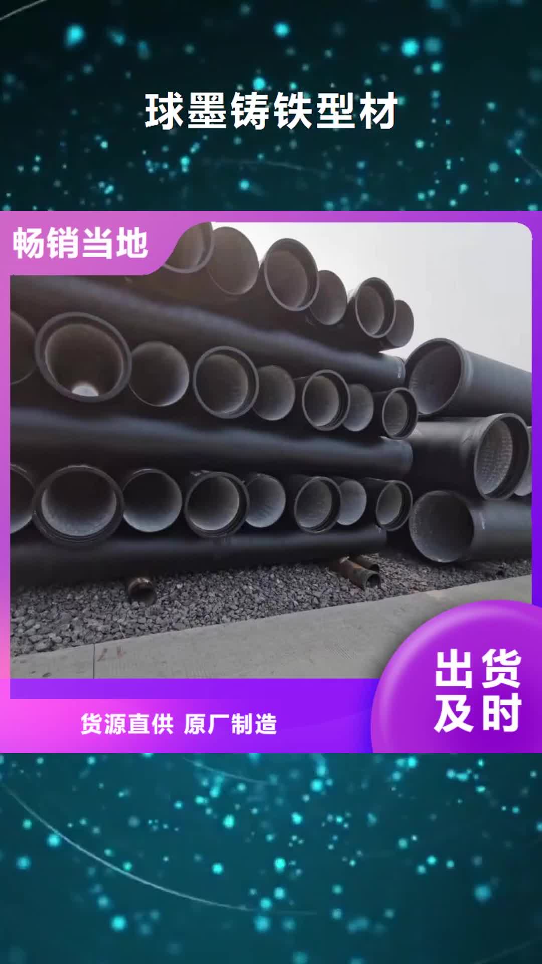 攀枝花球墨铸铁型材-【球墨铸铁棒】真材实料诚信经营