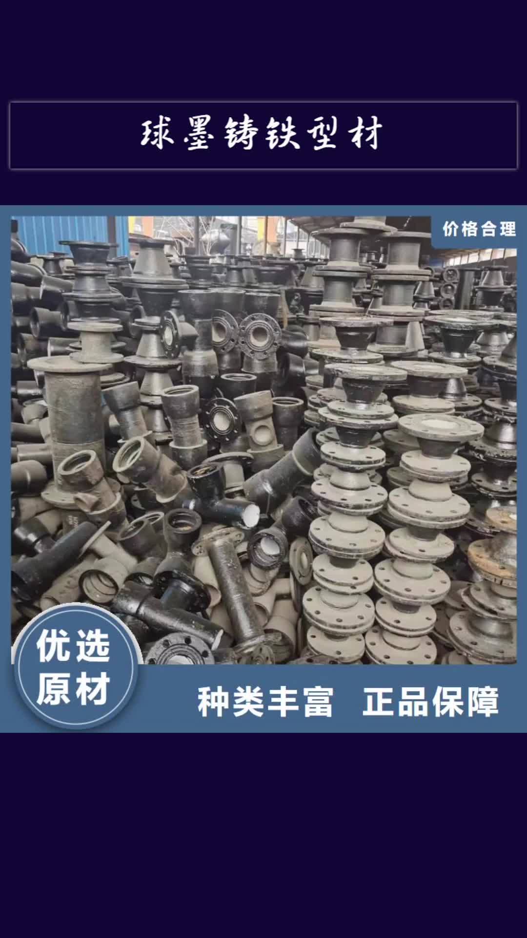 芜湖 球墨铸铁型材,【球墨铸铁棒】匠心品质