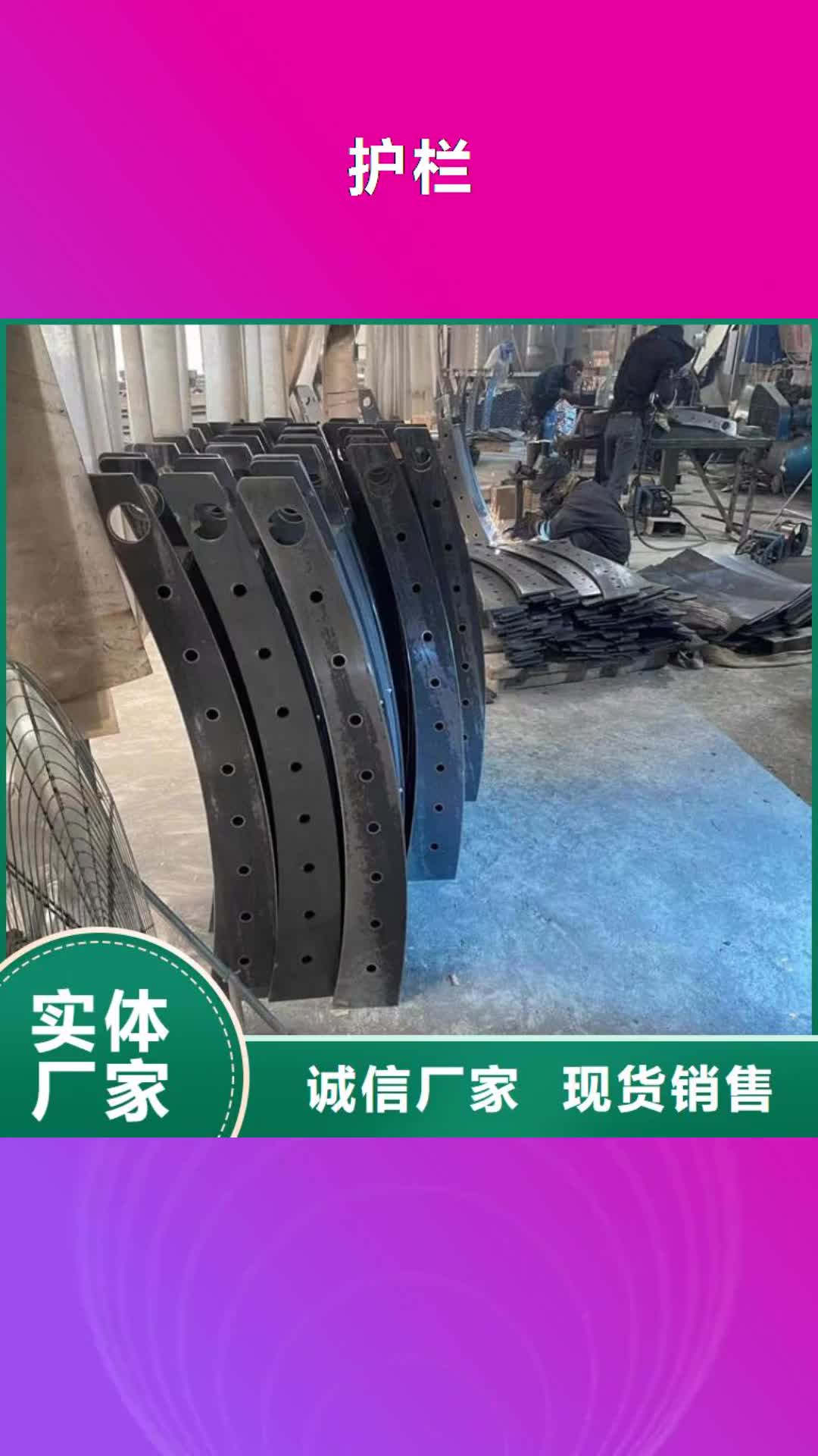 【鹤壁护栏 桥梁护栏有实力有经验】