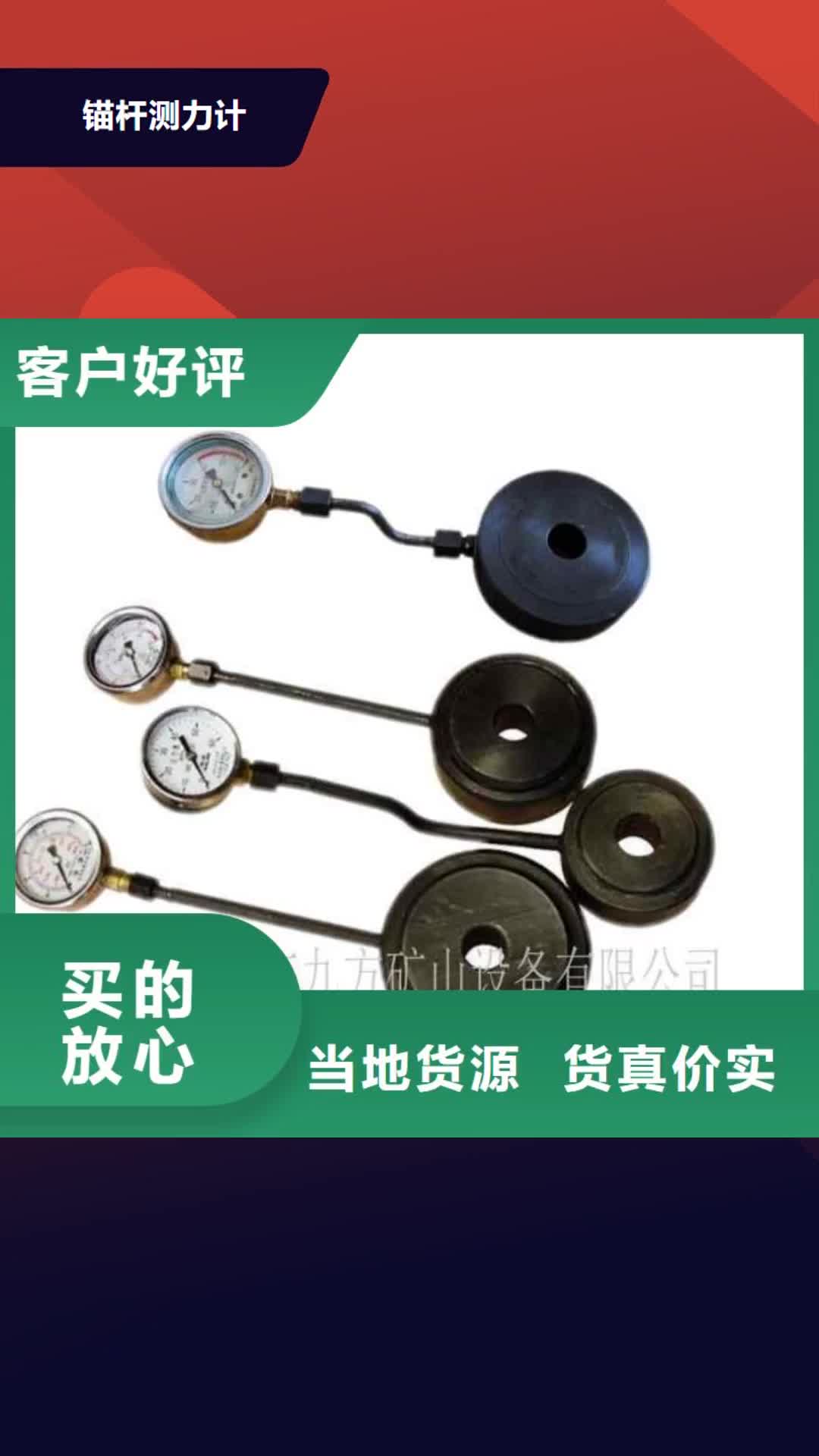 铜陵 锚杆测力计-【顶板离层仪】支持定制加工
