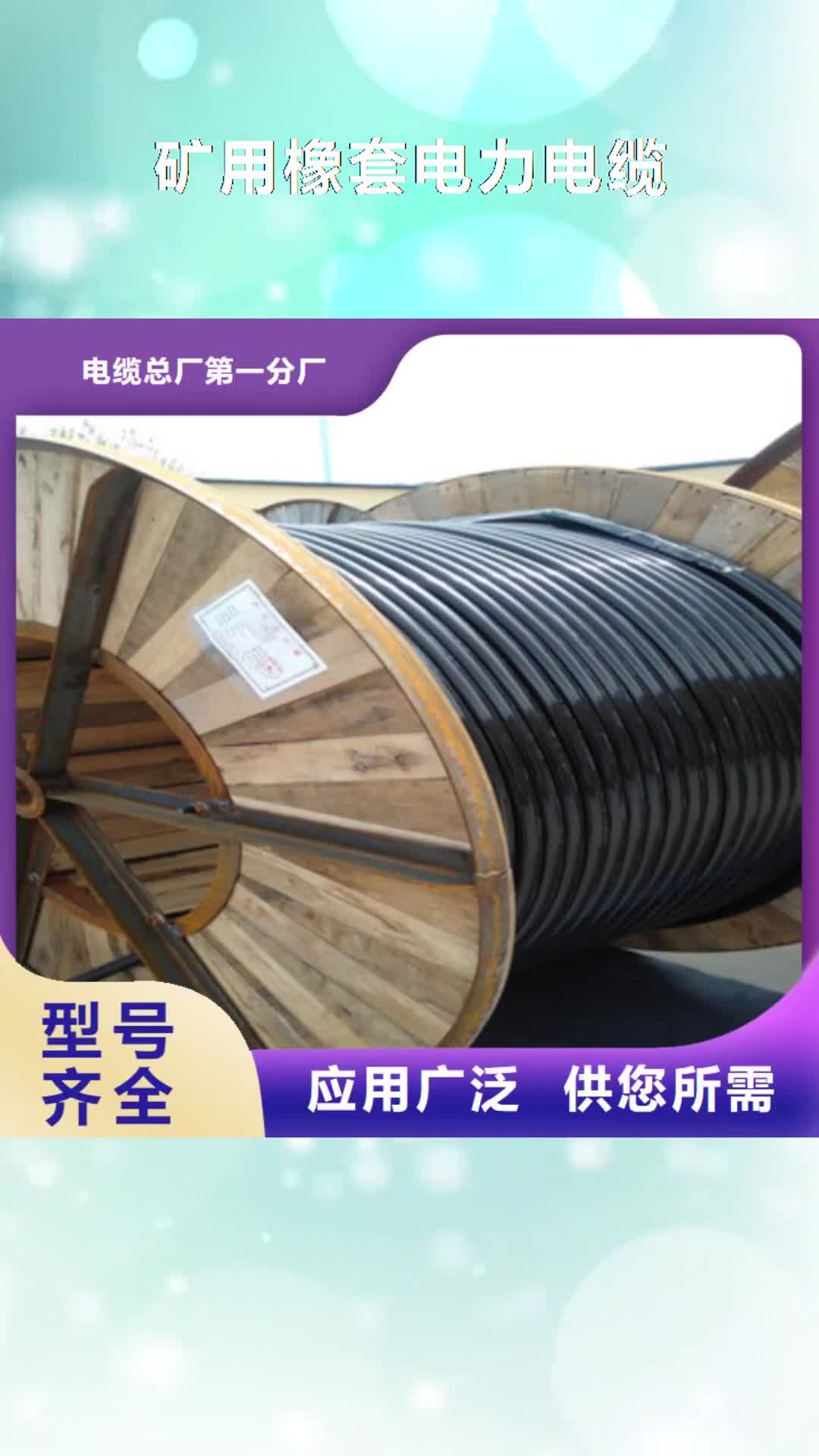 乐山【矿用橡套电力电缆】,屏蔽电缆定制定做