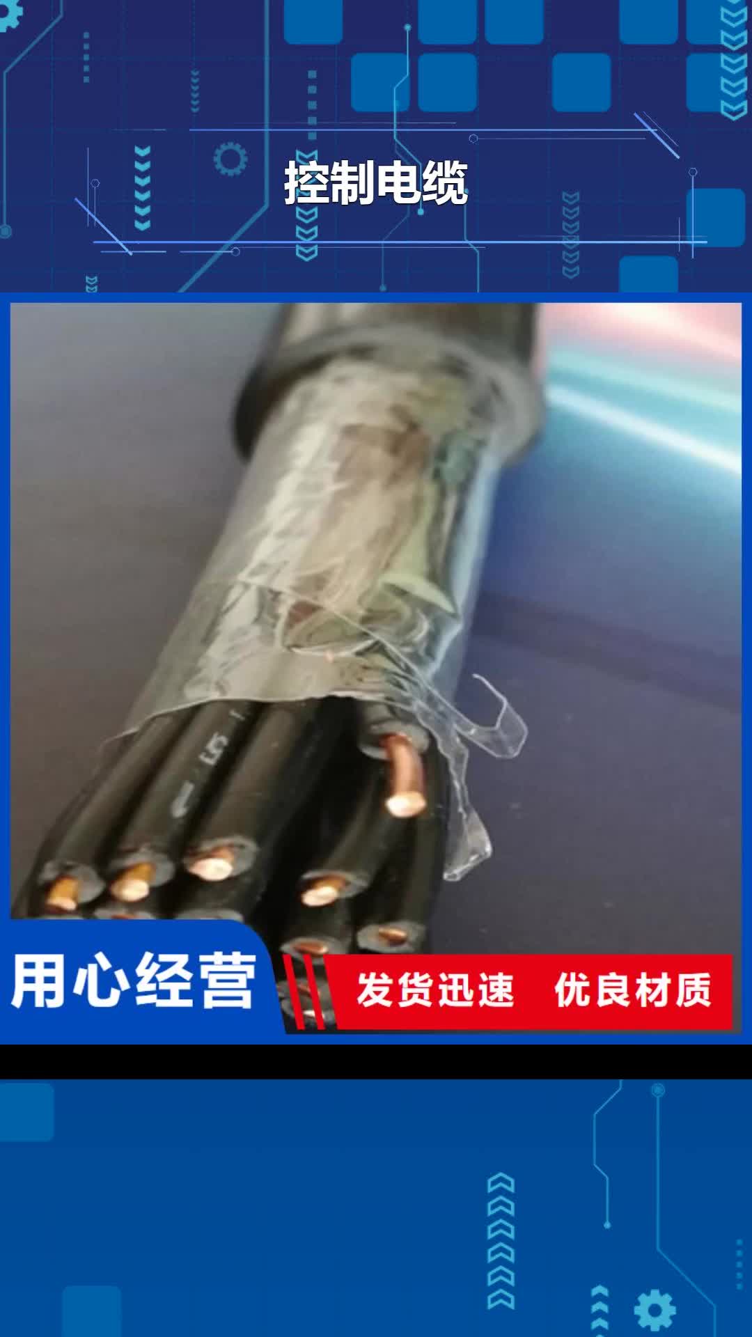 潮州 控制电缆-【电缆生产厂家】源头工厂
