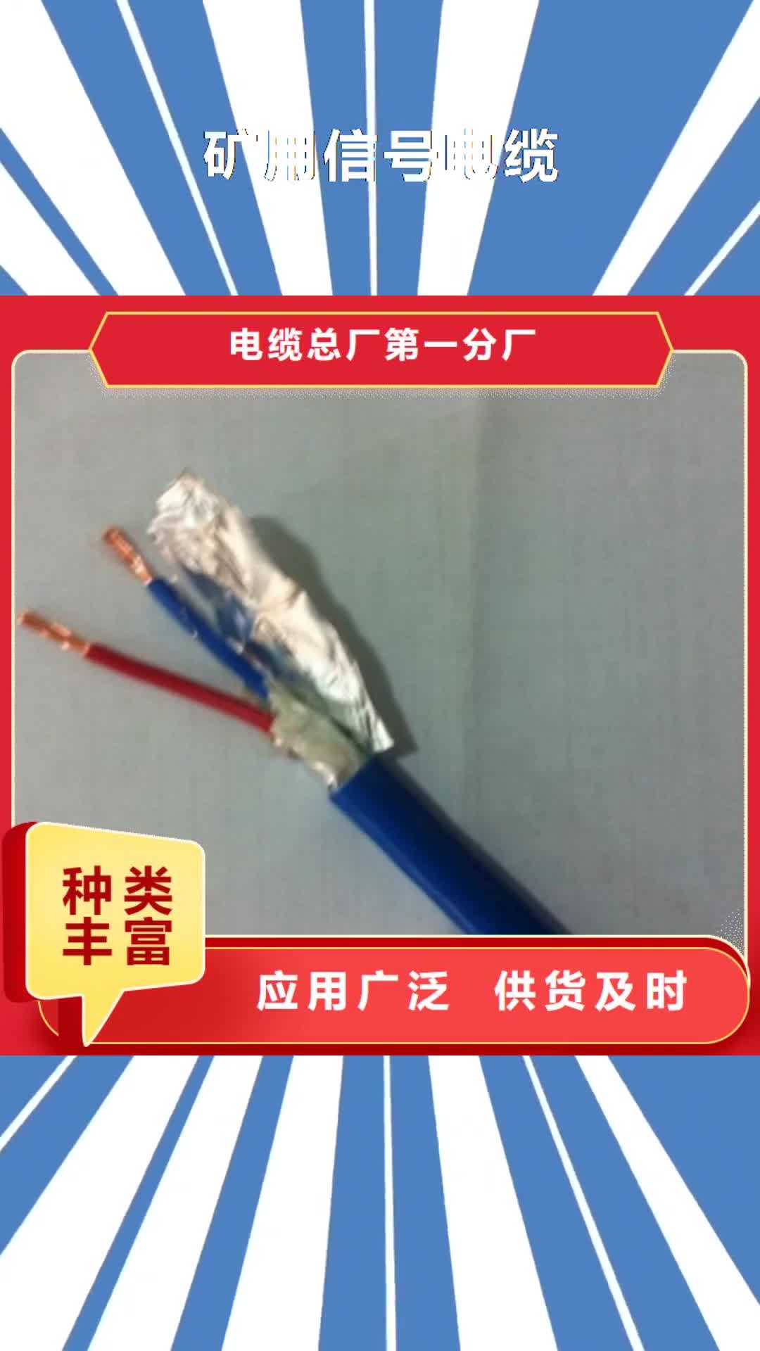 【内蒙古 矿用信号电缆,通信电缆品质无所畏惧】
