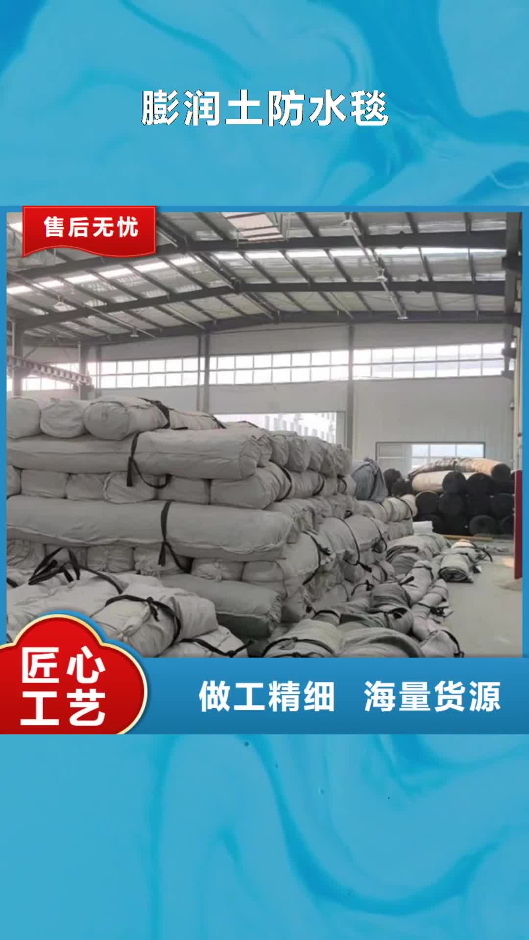 惠州 膨润土防水毯【土工格栅】多种工艺