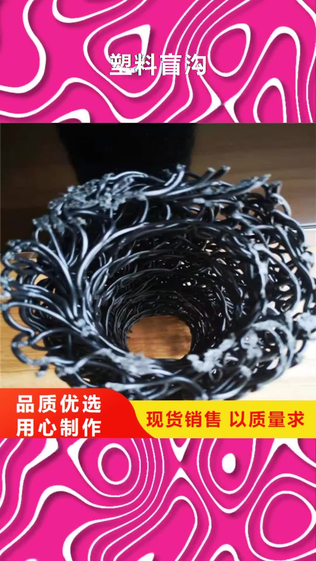 阜新 塑料盲沟_【土工膜】按需定制