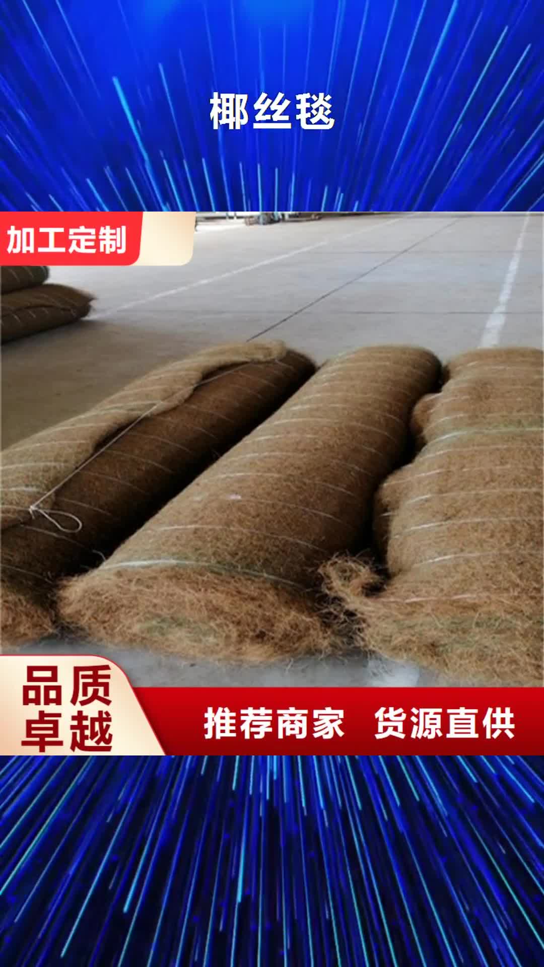 百色【椰丝毯】_HDPE土工膜好货直供