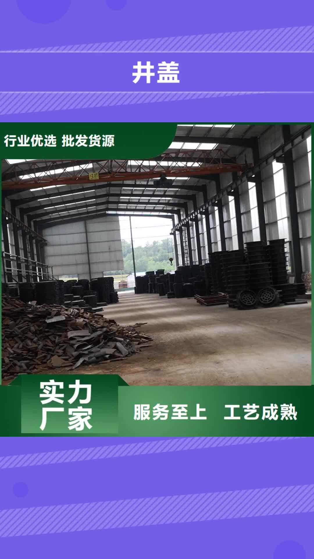 巢湖 井盖-【球墨铸铁管配件】好品质经得住考验