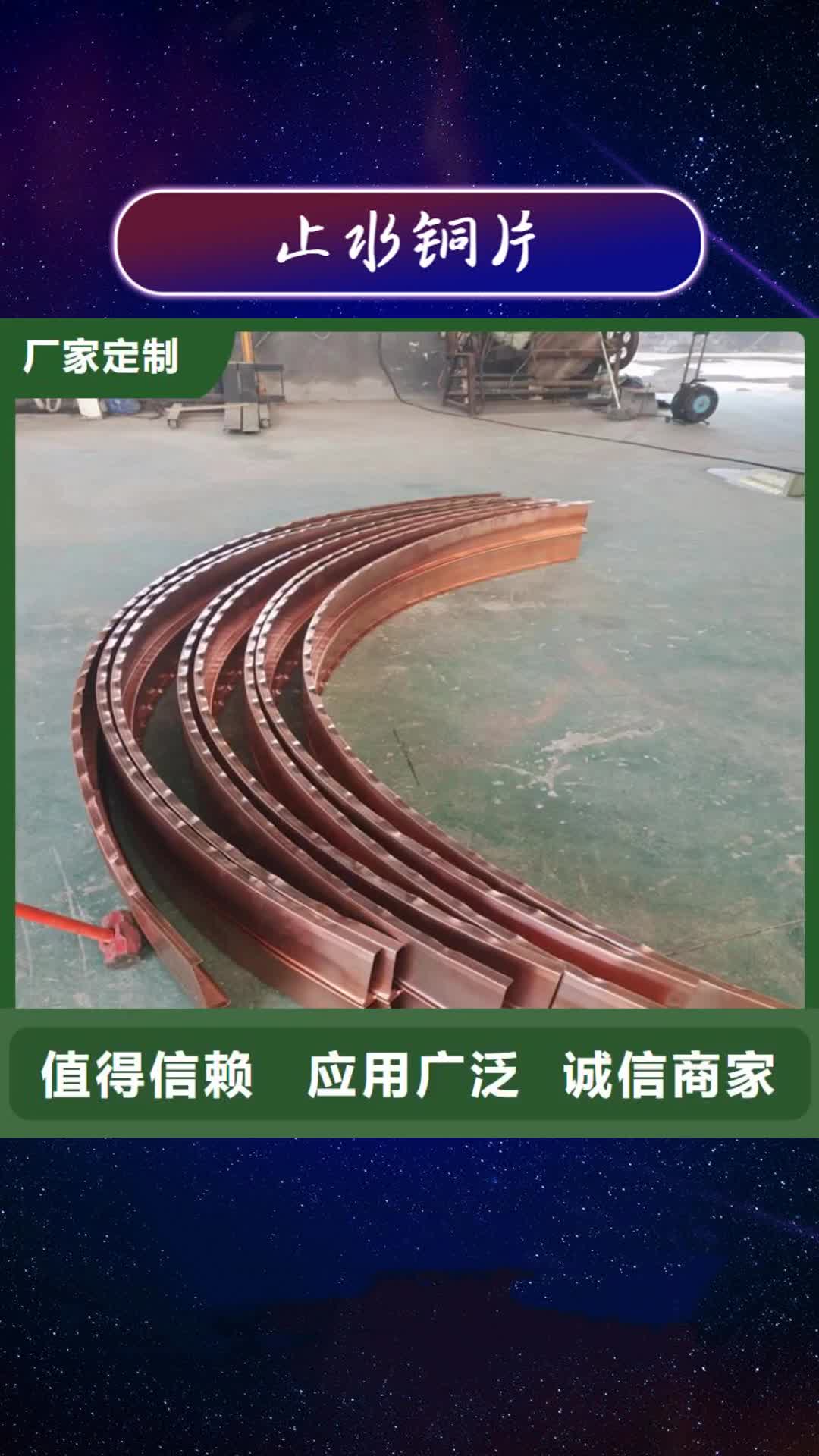 【保定 止水铜片 土工布随到随提】