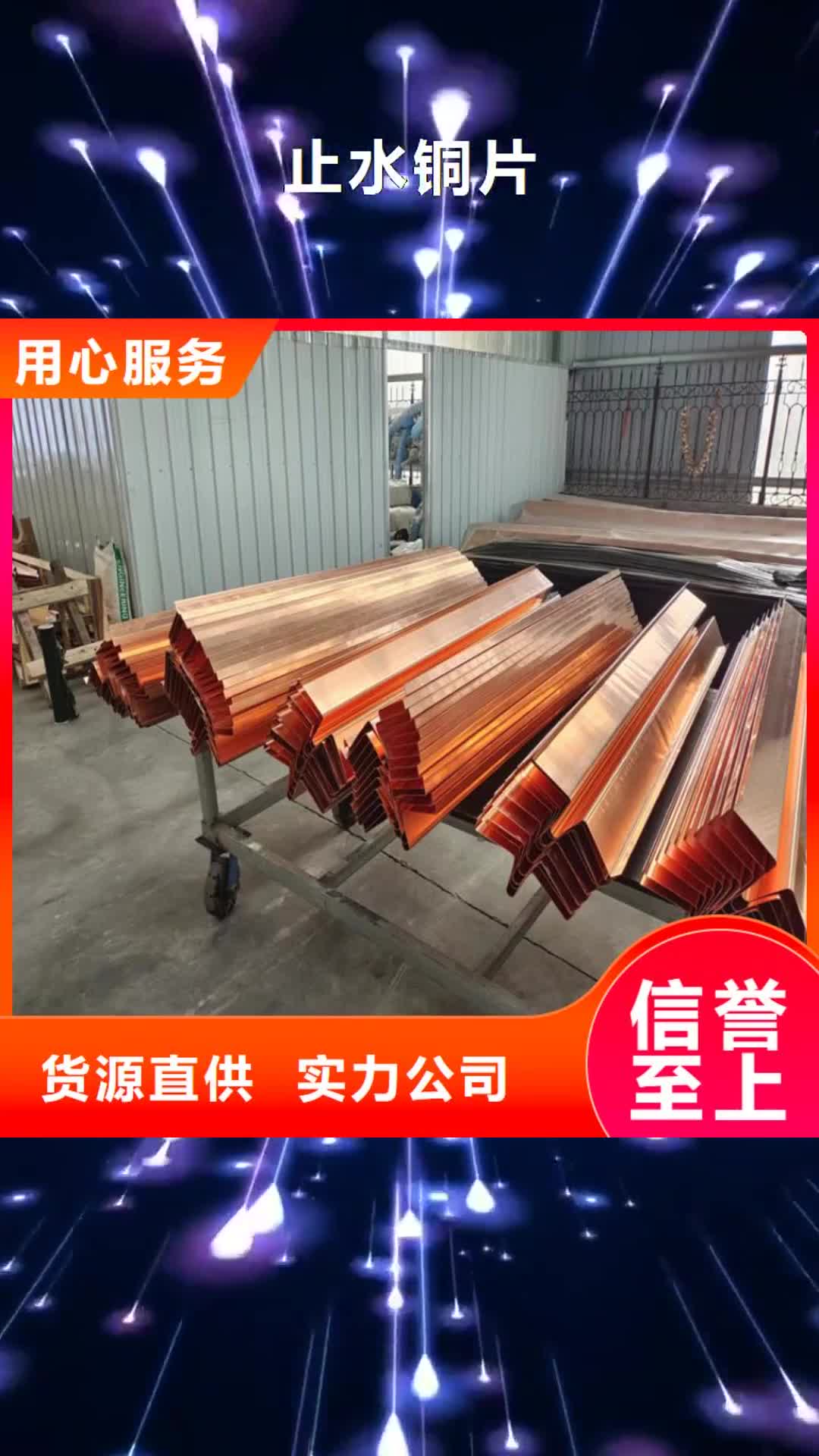 【咸宁 止水铜片土工布加工定制】