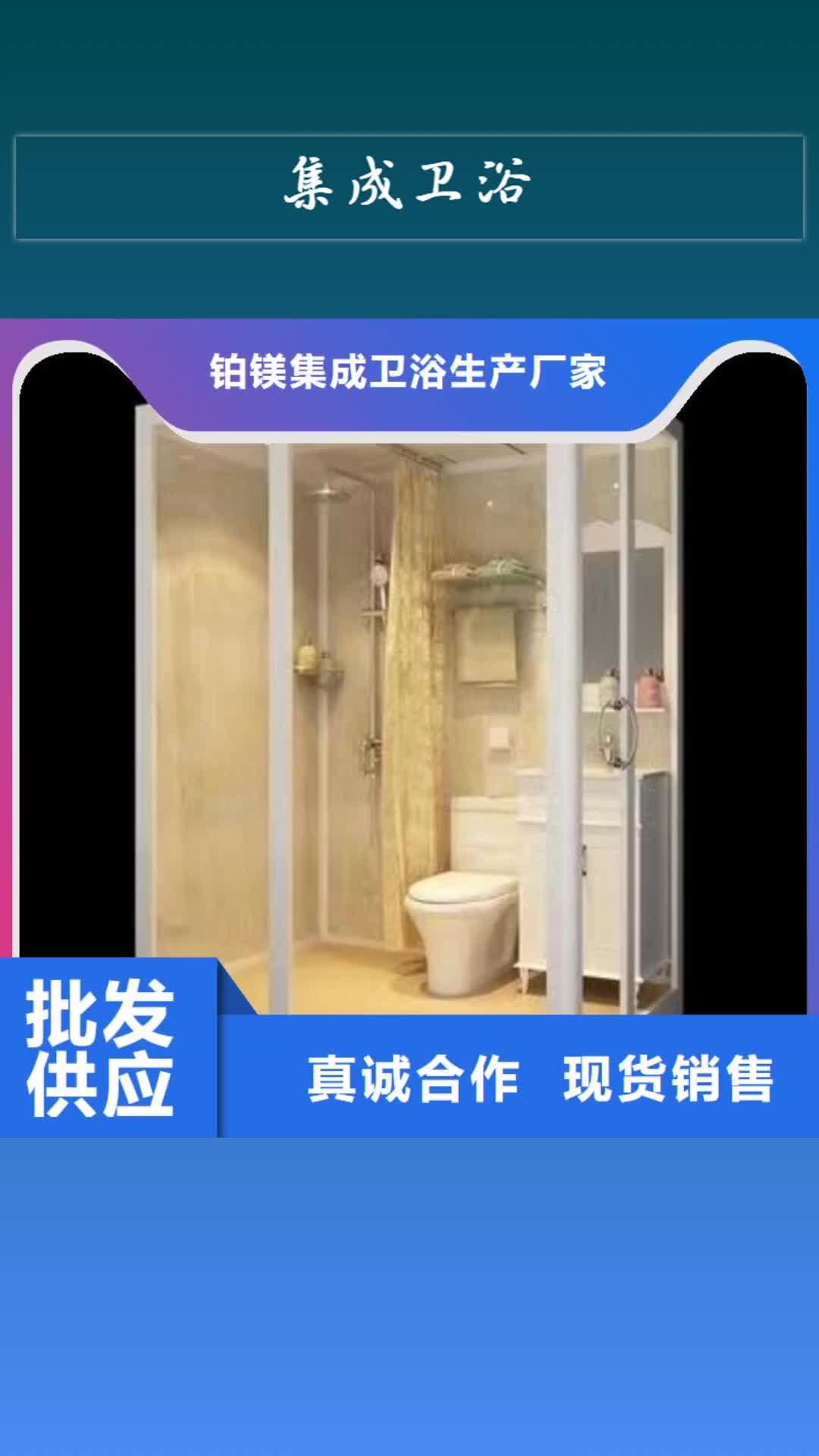 攀枝花 集成卫浴同行低价