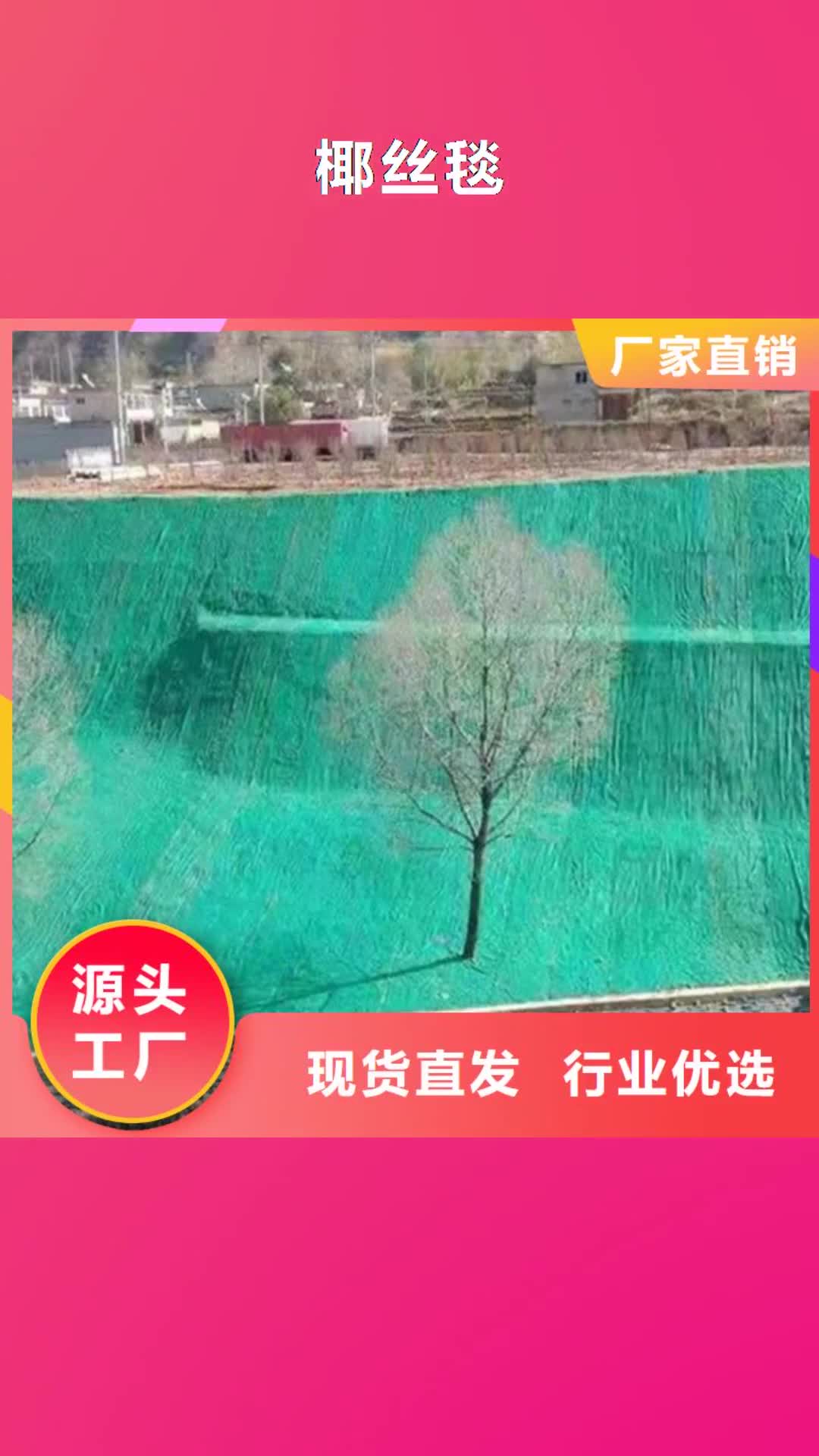 潮州【椰丝毯】-通风降噪丝网厂家型号齐全