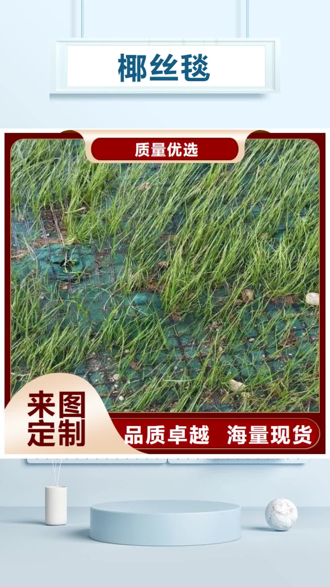 【景德镇 椰丝毯,土工格栅品质优选】