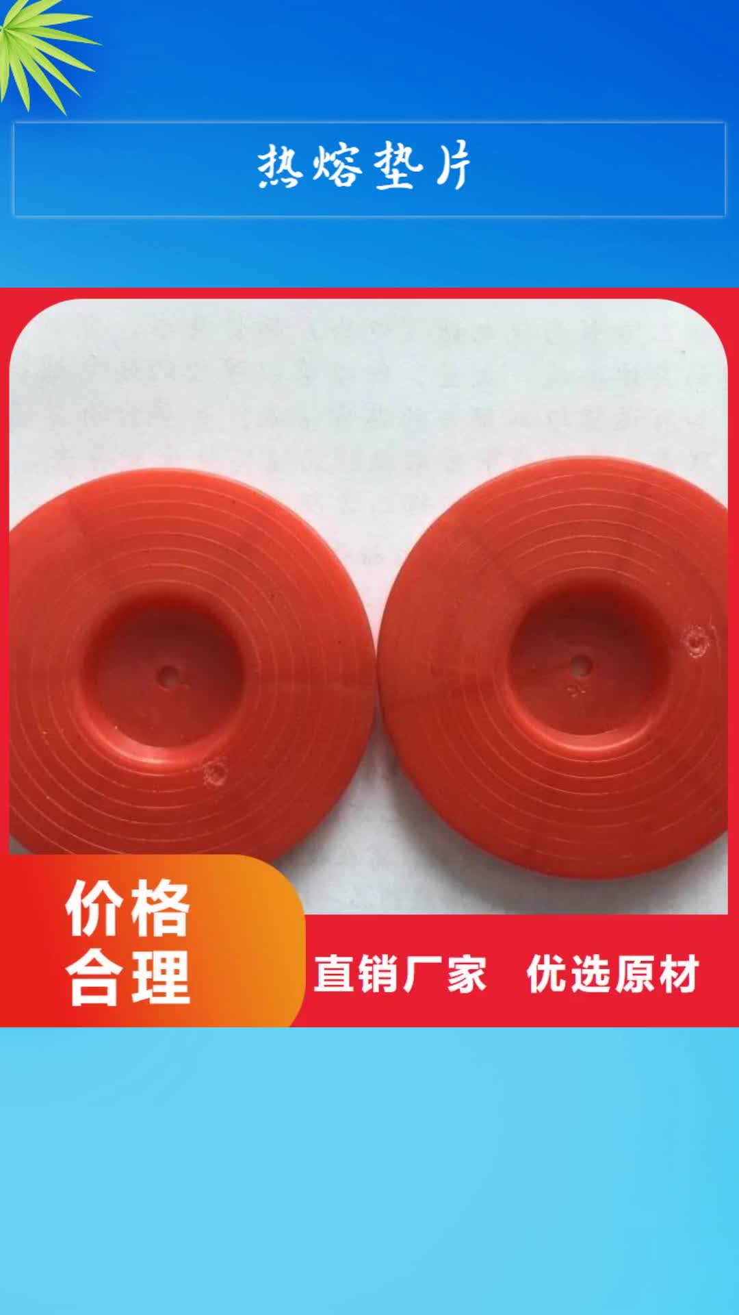 【葫芦岛 热熔垫片_HDPE土工膜实力优品】