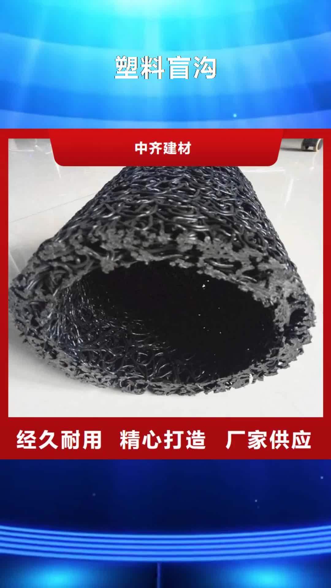 新乡【塑料盲沟】土工膜生产厂家