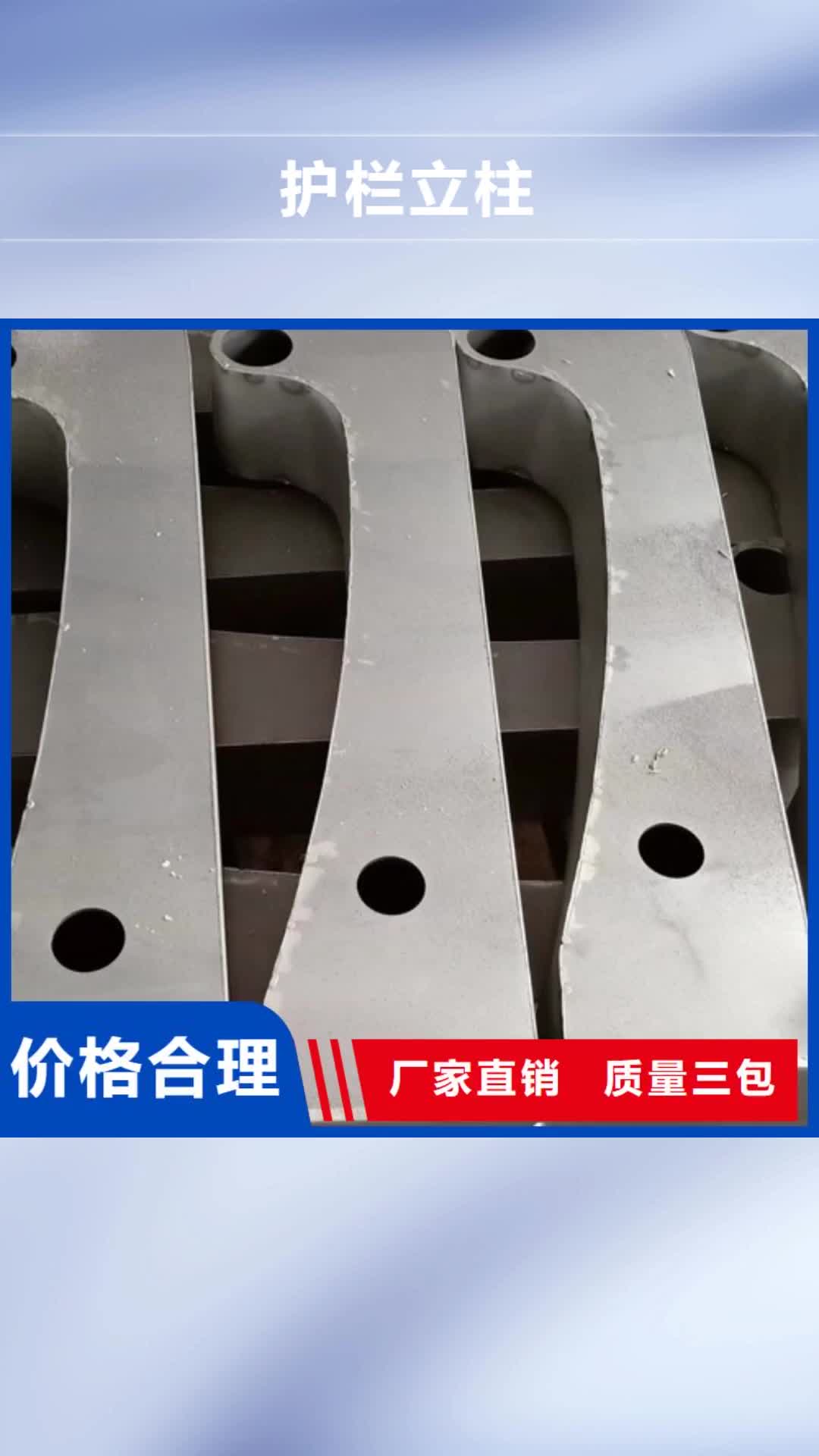海西 护栏立柱-【桥梁防撞栏厂家】实拍品质保障