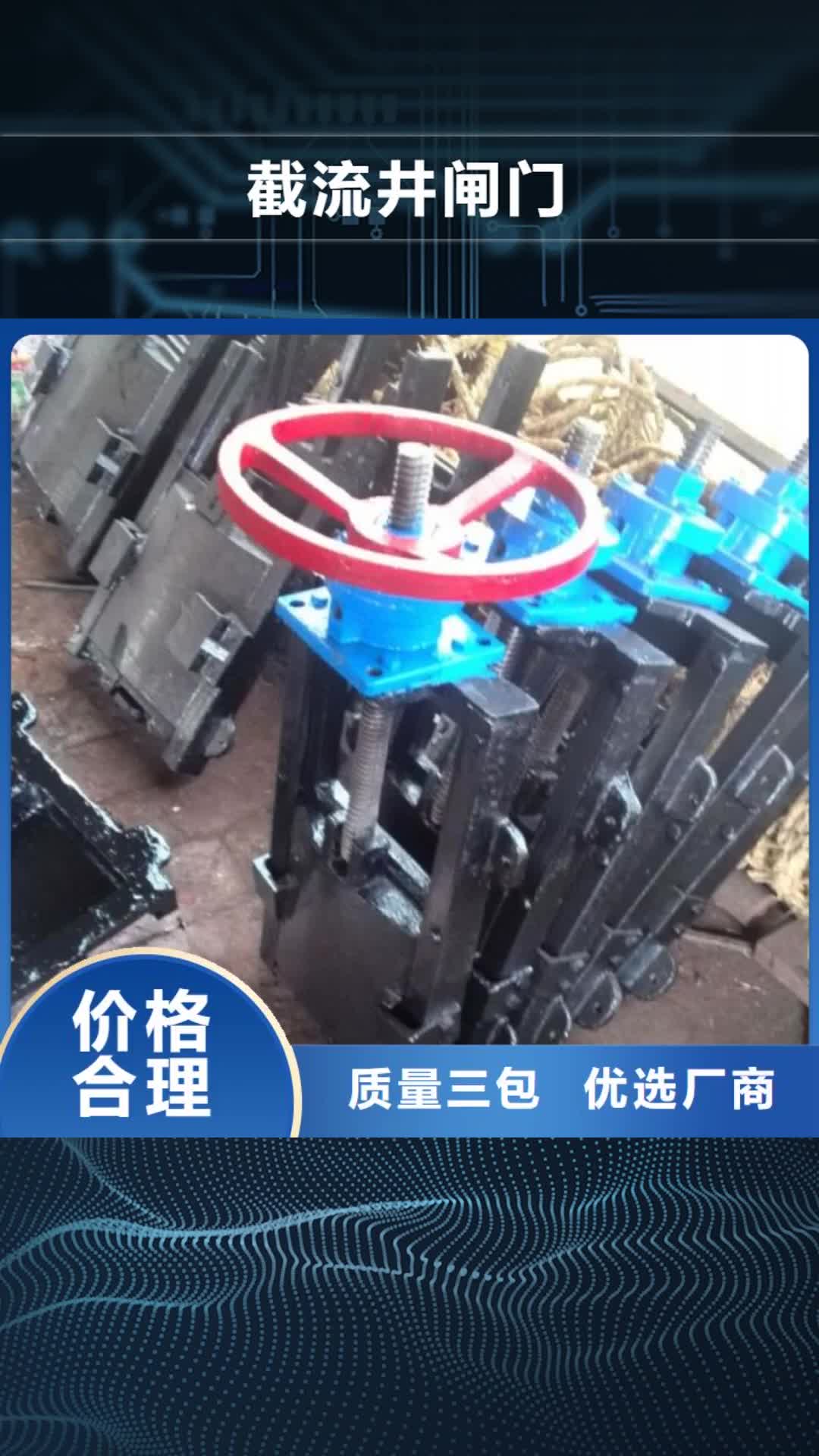 威海 截流井闸门_【侧摇启闭机】产品优良