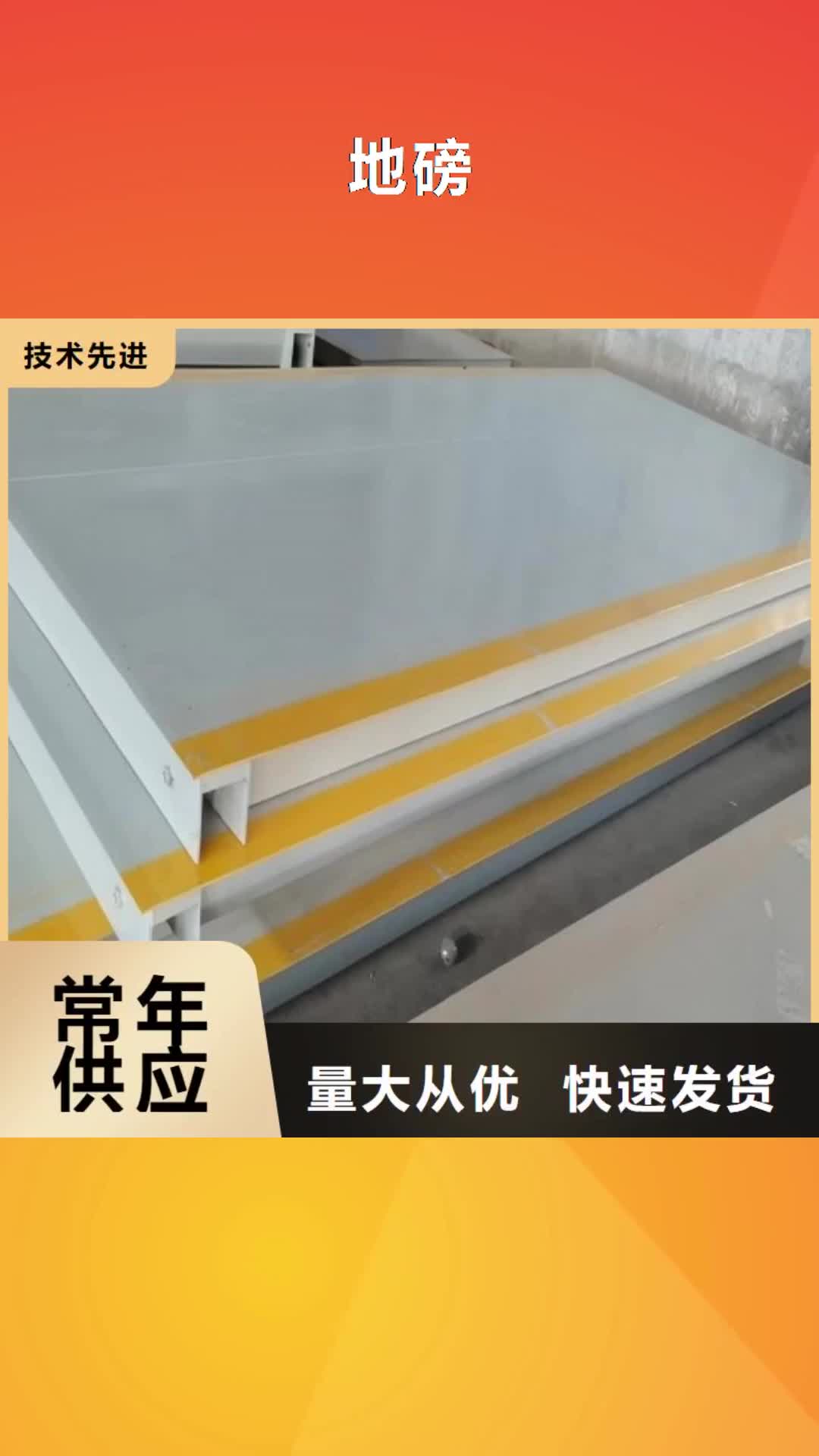 丽水 地磅产地厂家直销