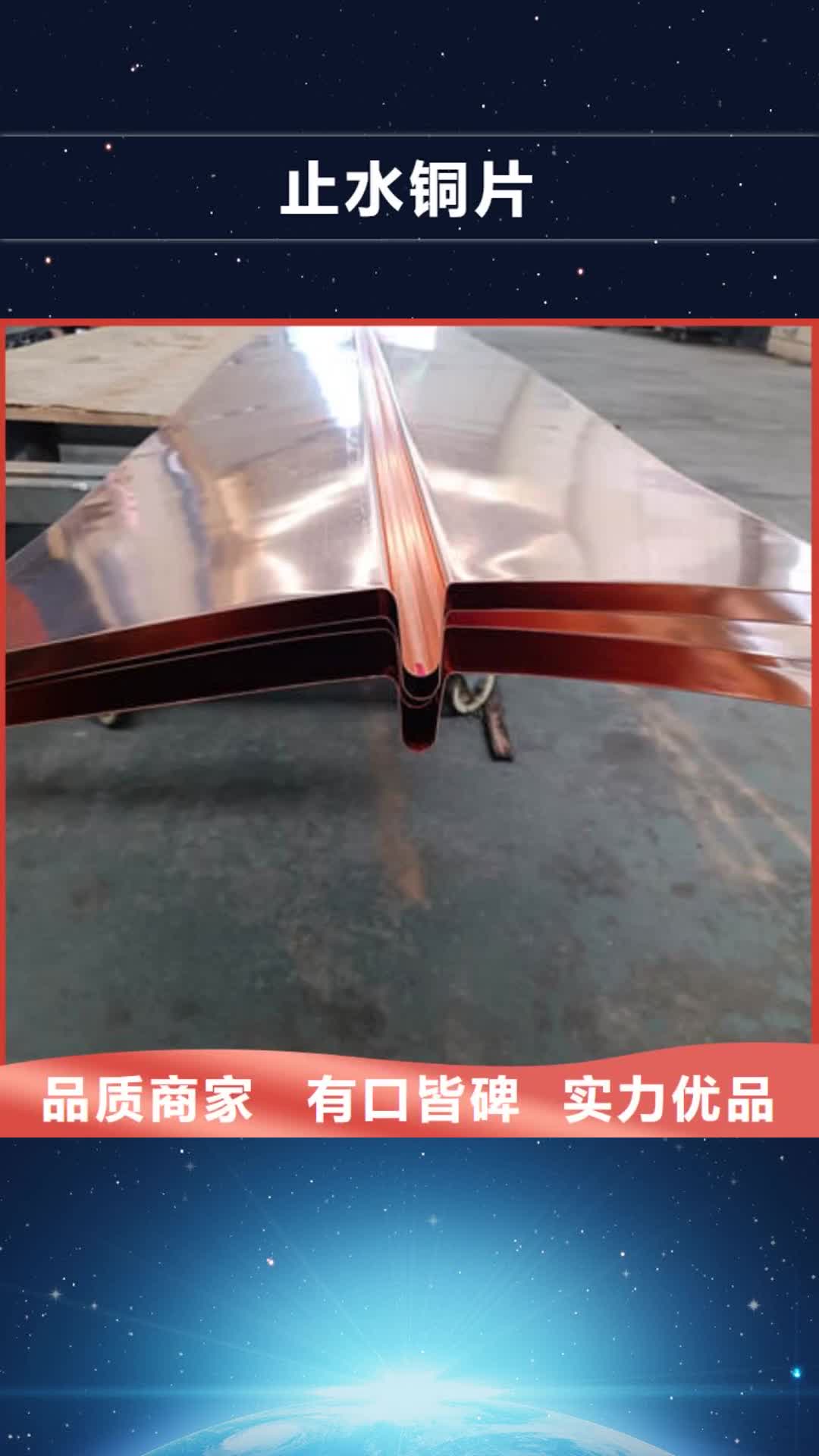 黔西南 止水铜片送货上门