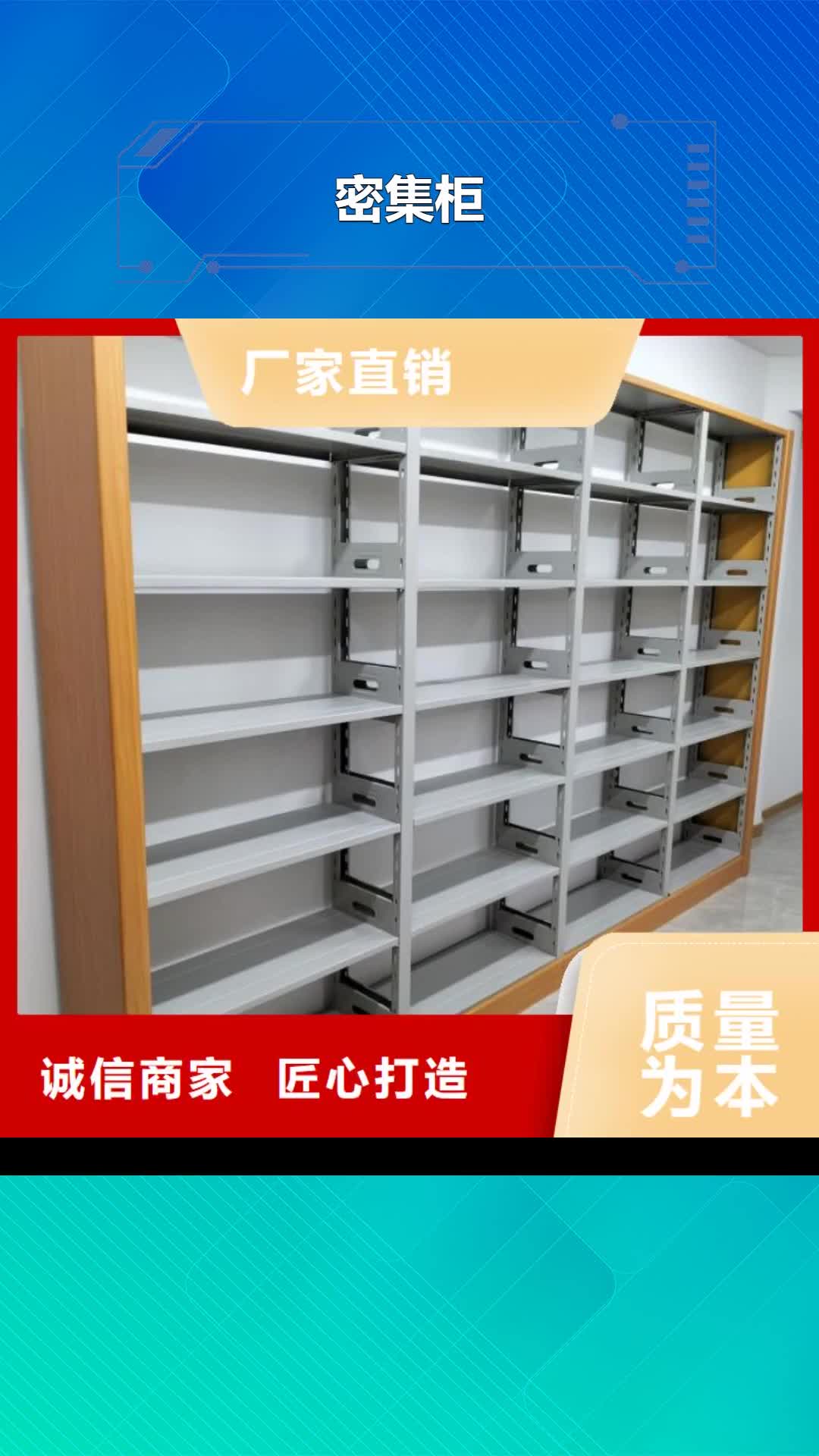 【文山密集柜 电动密集柜闪电发货】