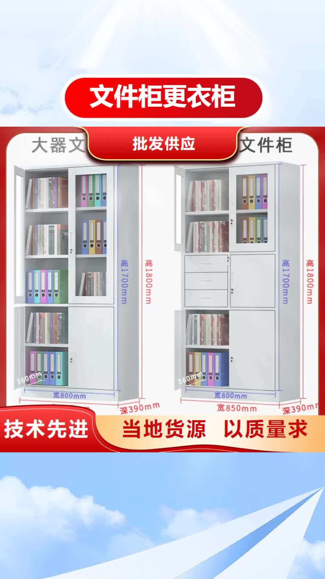 西藏 文件柜更衣柜,【智能型密集架】有实力有经验