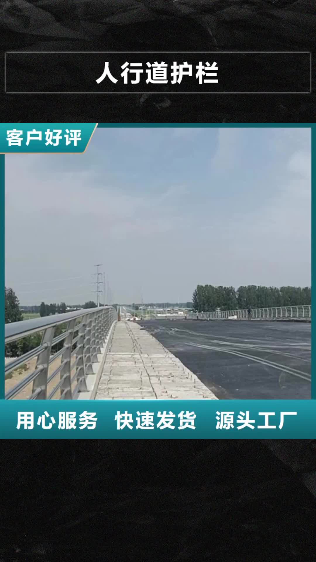 常州【人行道护栏】桥梁护栏订制批发