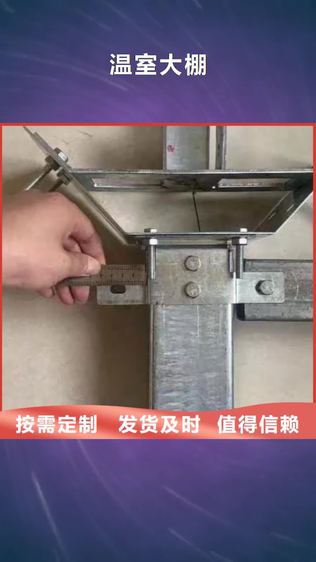 忻州 温室大棚-【暖棚】重信誉厂家