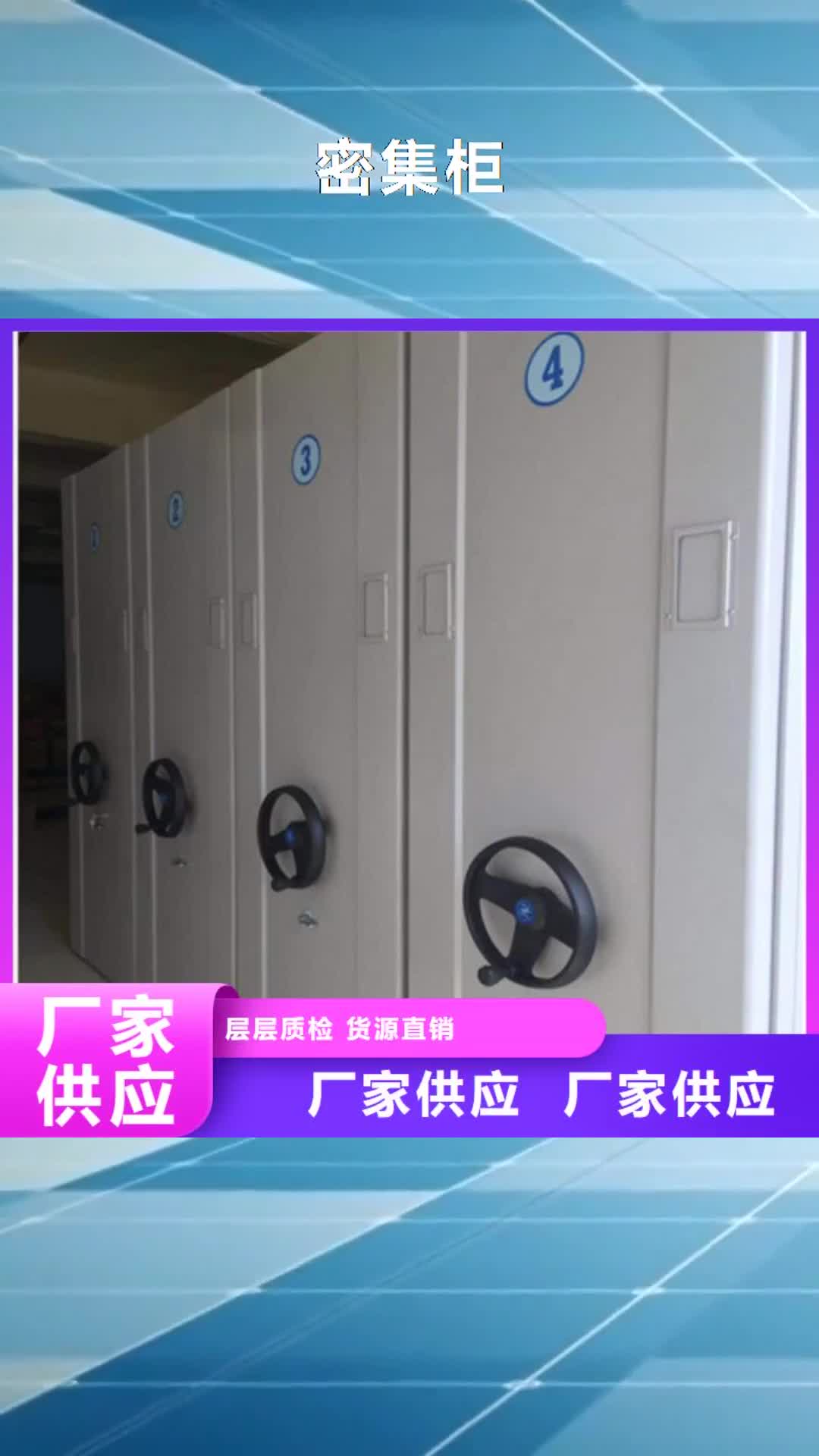 海西密集柜保密铁皮柜性能稳定