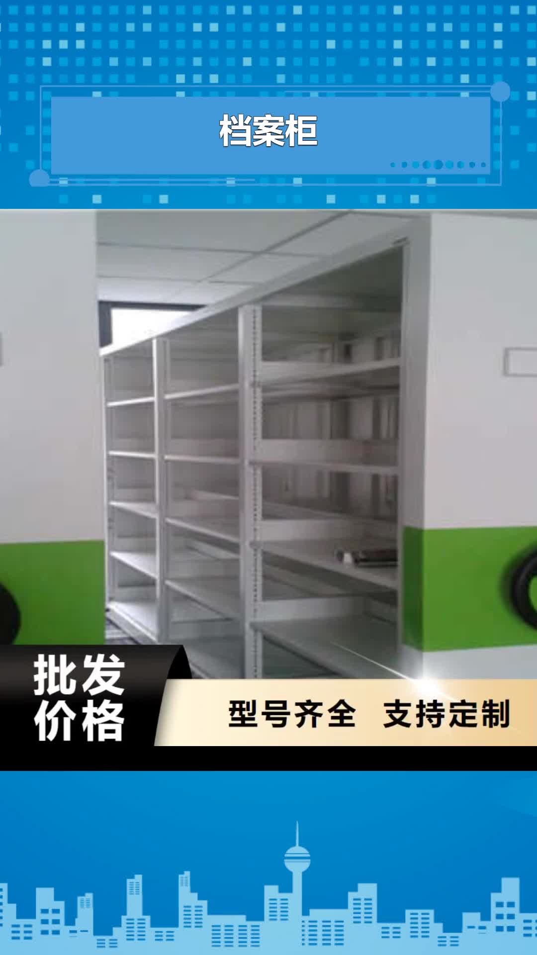 【巢湖 档案柜保密铁皮柜常年供应】