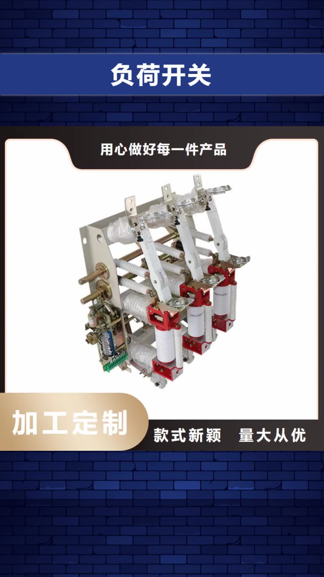 韶关 负荷开关 【固定金具】打造行业品质