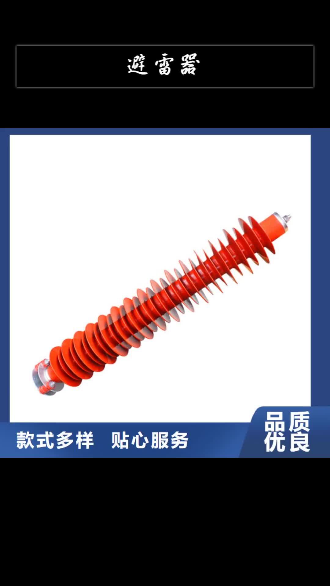 六安避雷器真空断路器用心做好每一件产品