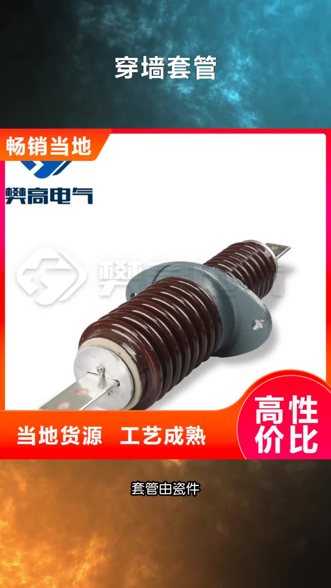 漳州穿墙套管真空断路器售后无忧