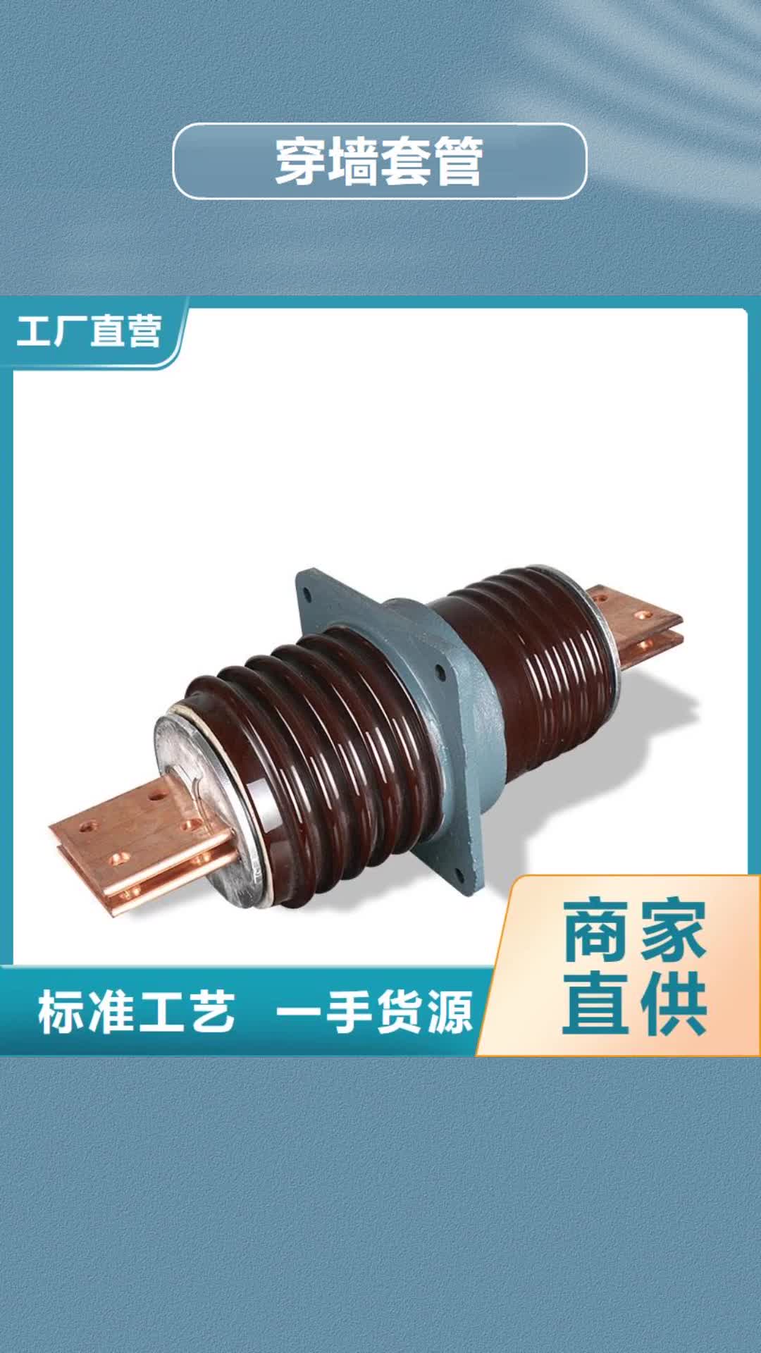 巢湖穿墙套管绝缘子经销商