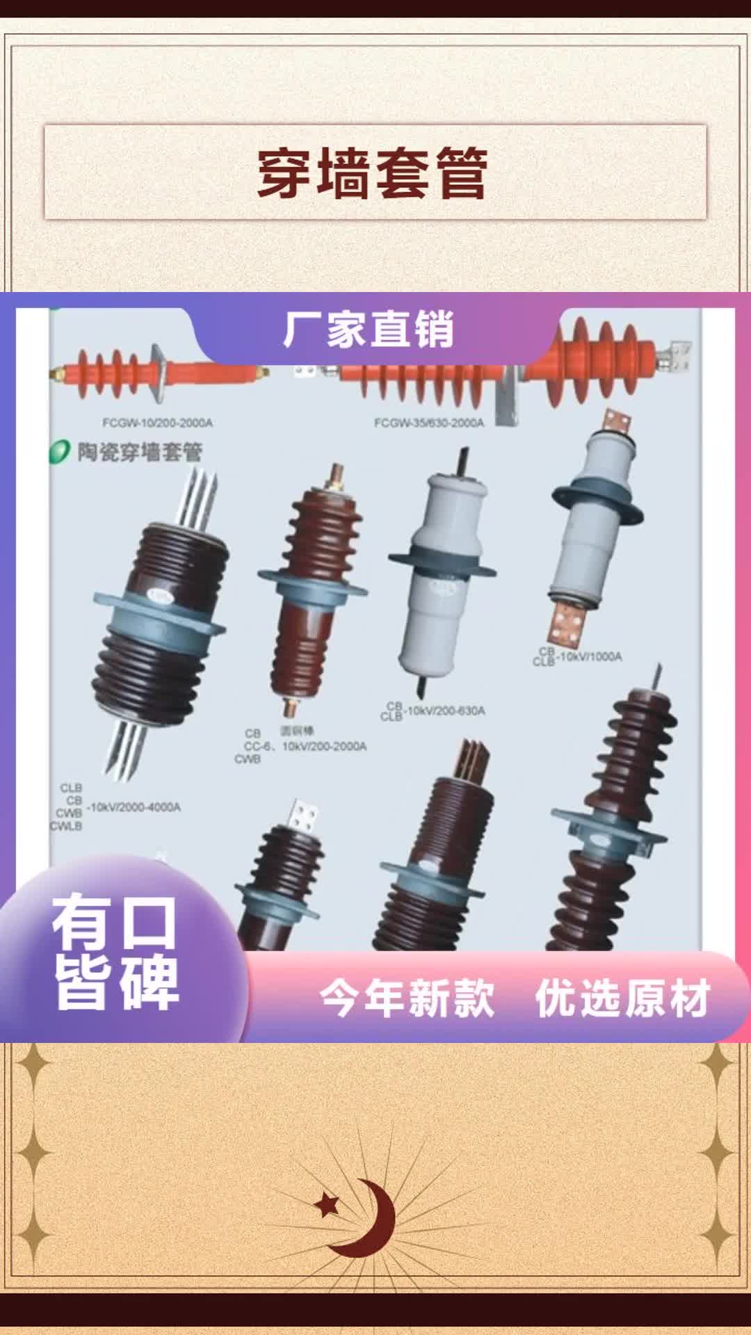 【延安 穿墙套管,限流熔断器好品质经得住考验】