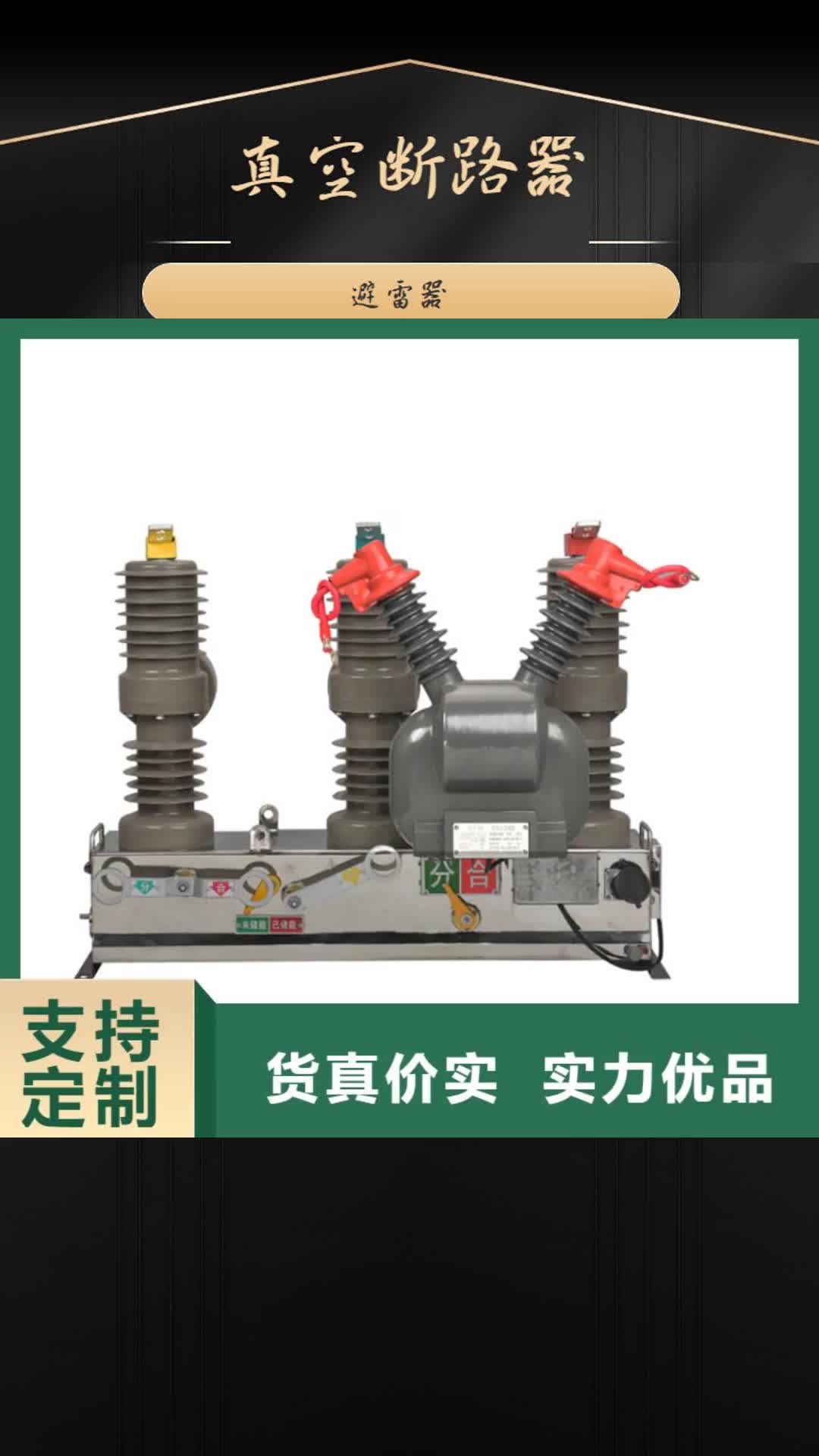 陕西真空断路器今年新款