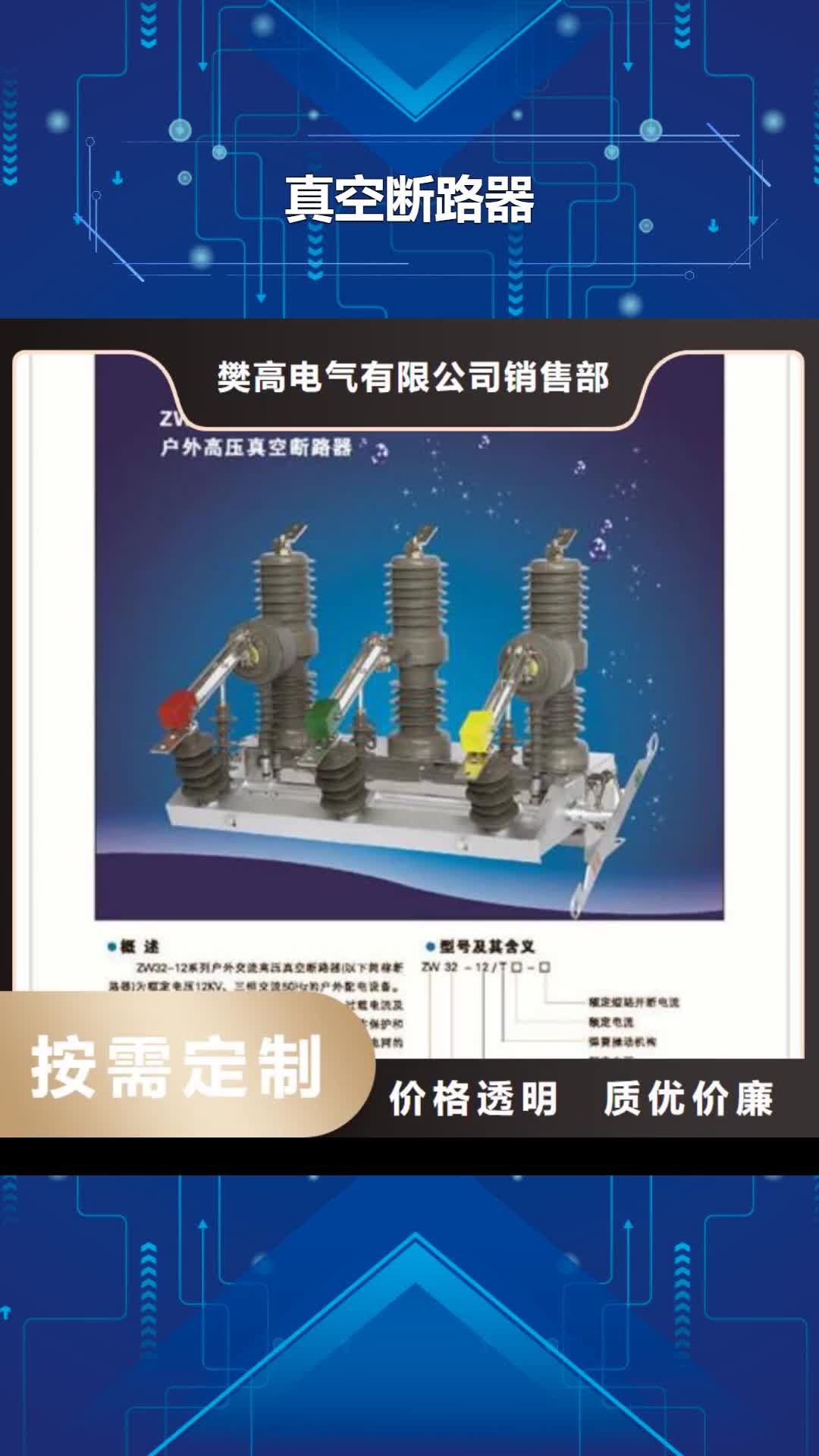 恩施真空断路器绝缘子用的放心
