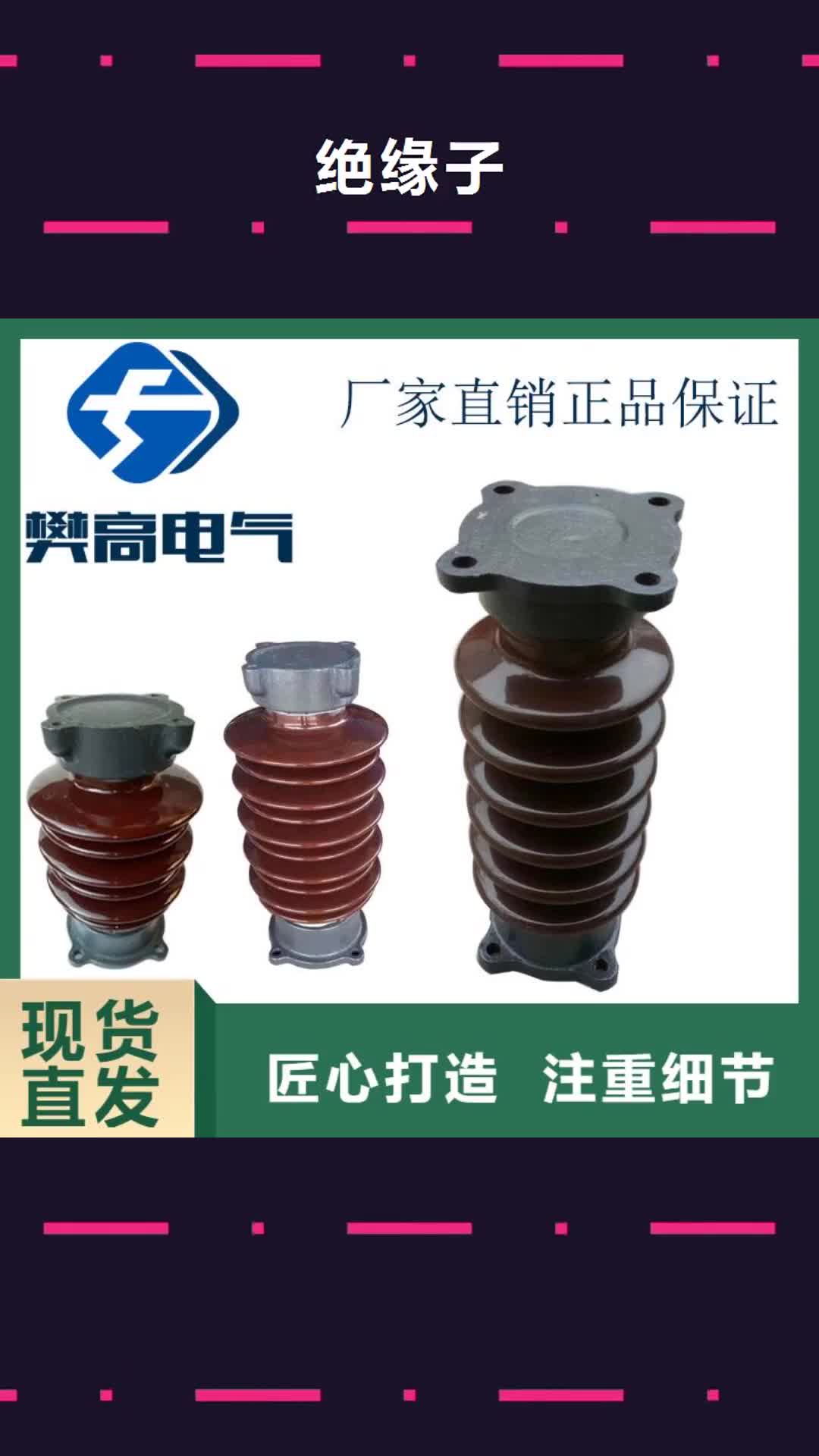 赣州绝缘子高低压电器物美价优
