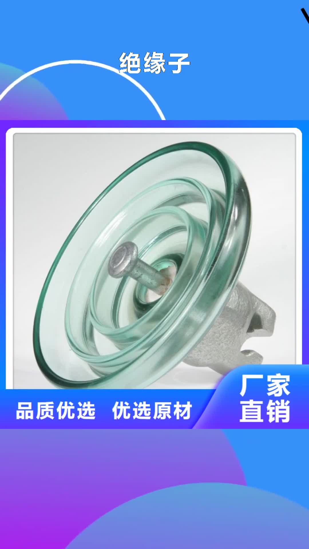 河南绝缘子氧化锌避雷器好货直供